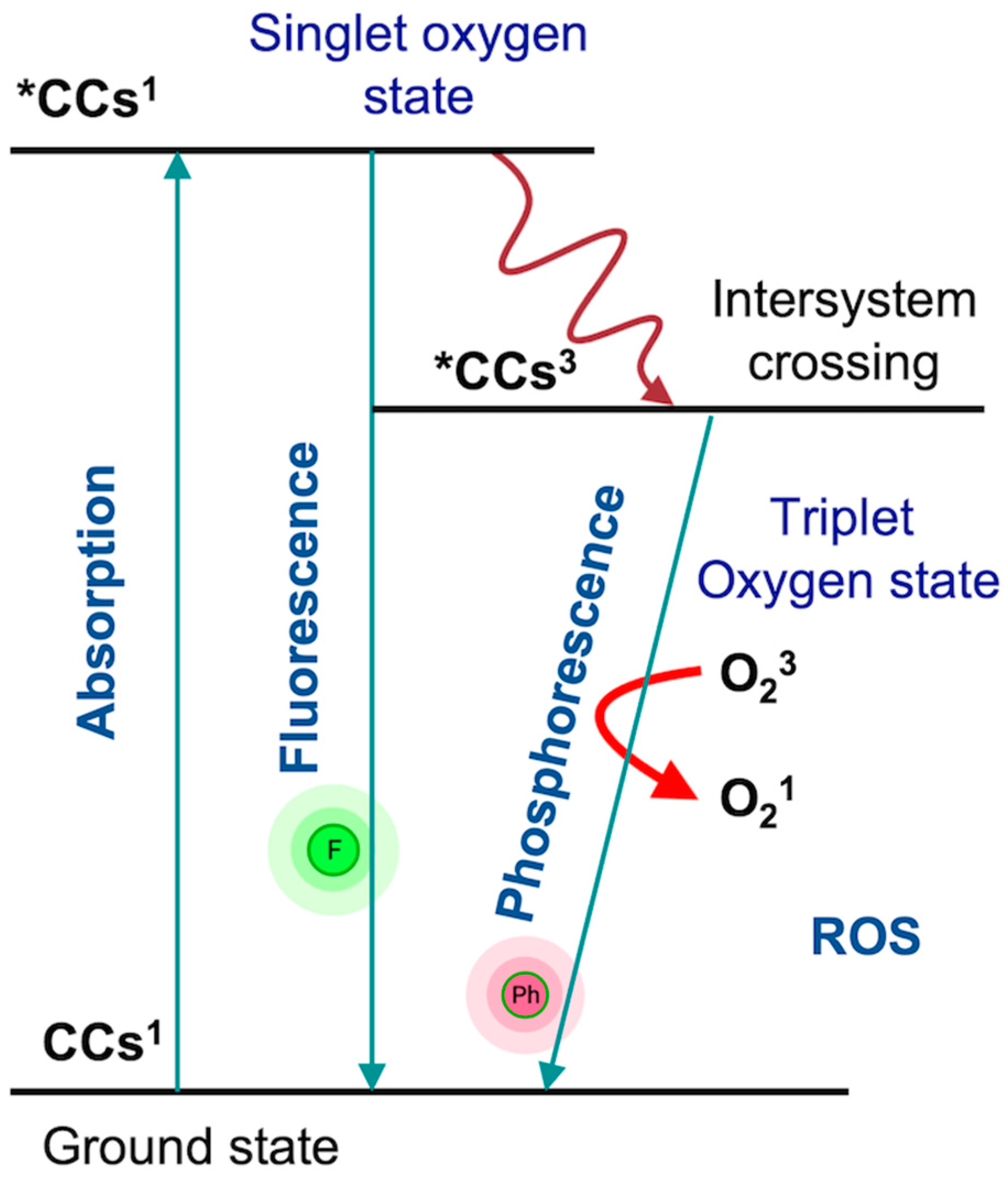 Antioxidants 10 01008 g001 Antioxidants 10 01008 g001