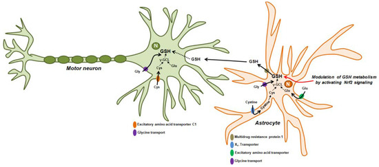 Antioxidants 10 01011 g001