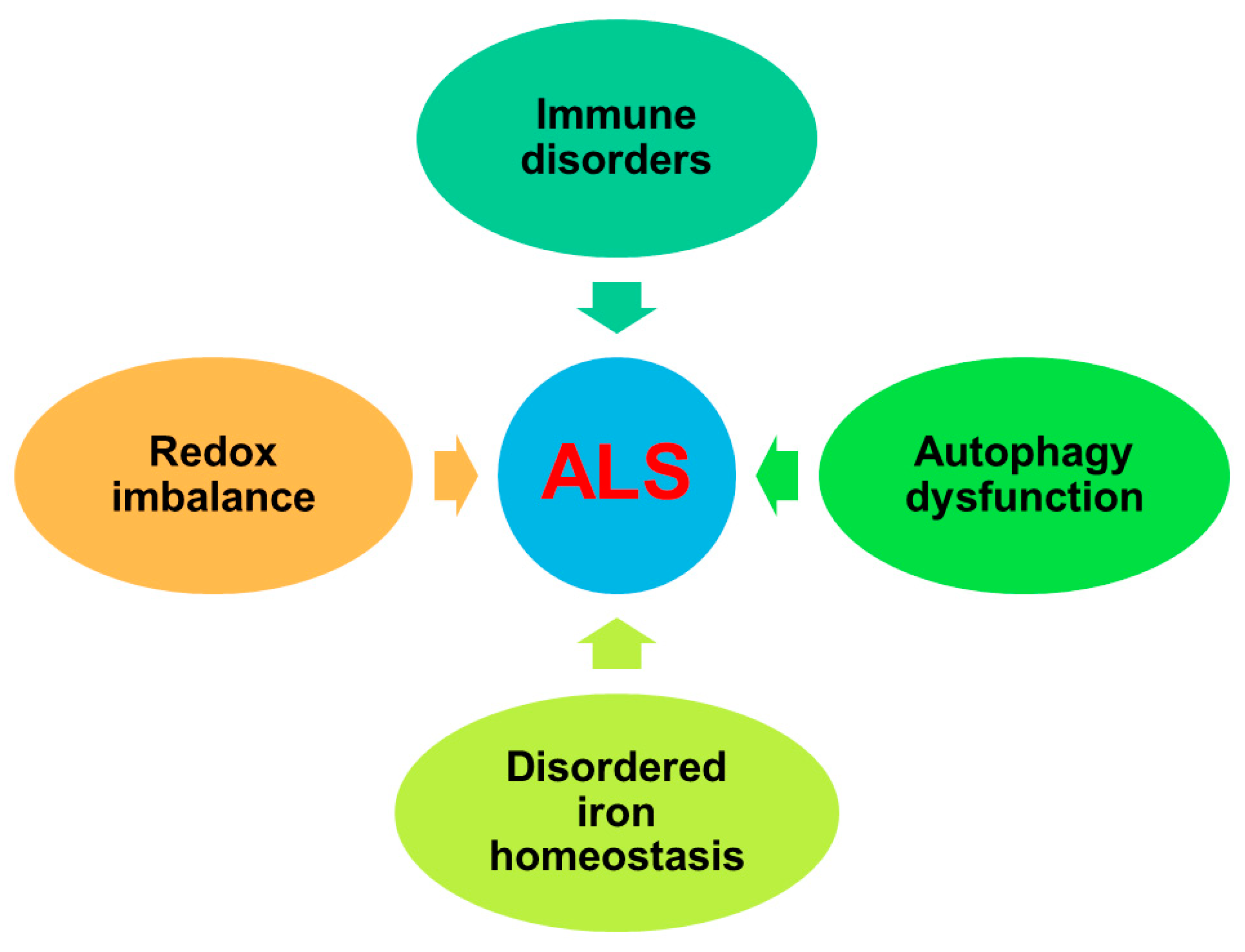 Antioxidants 10 01012 g001