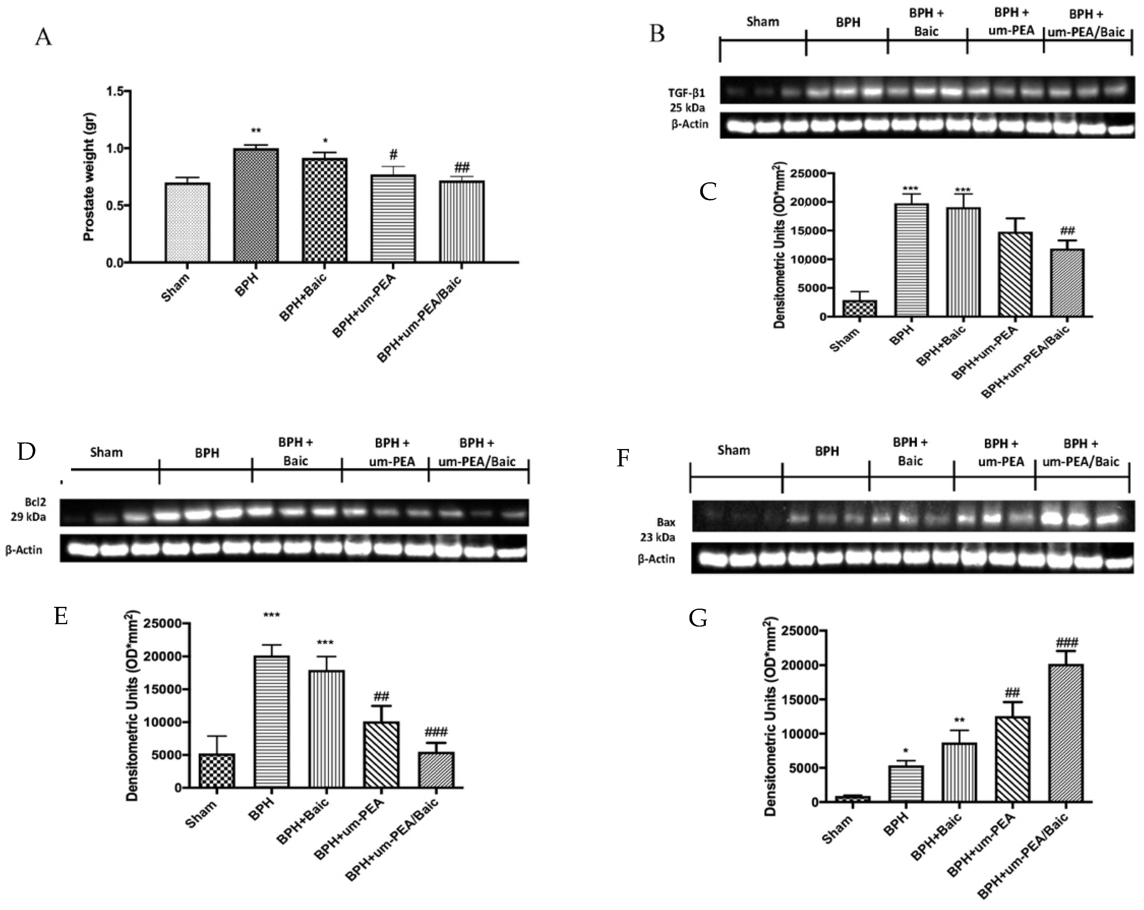 Antioxidants 10 01014 g002