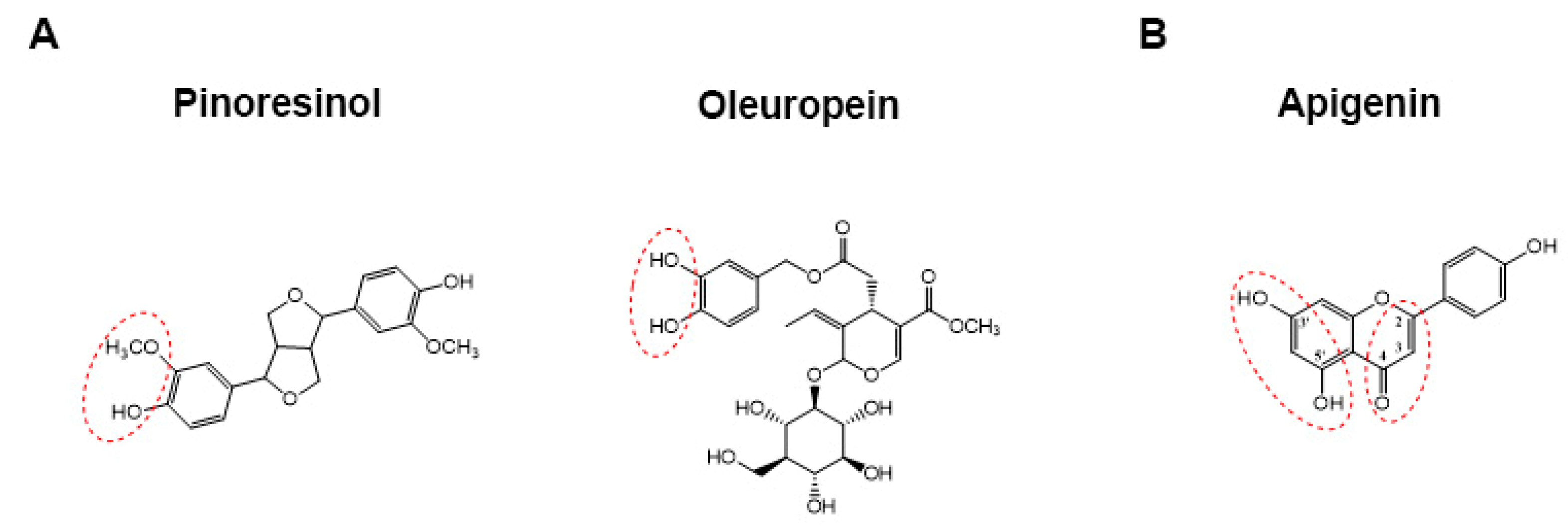 Antioxidants 10 01016 g001