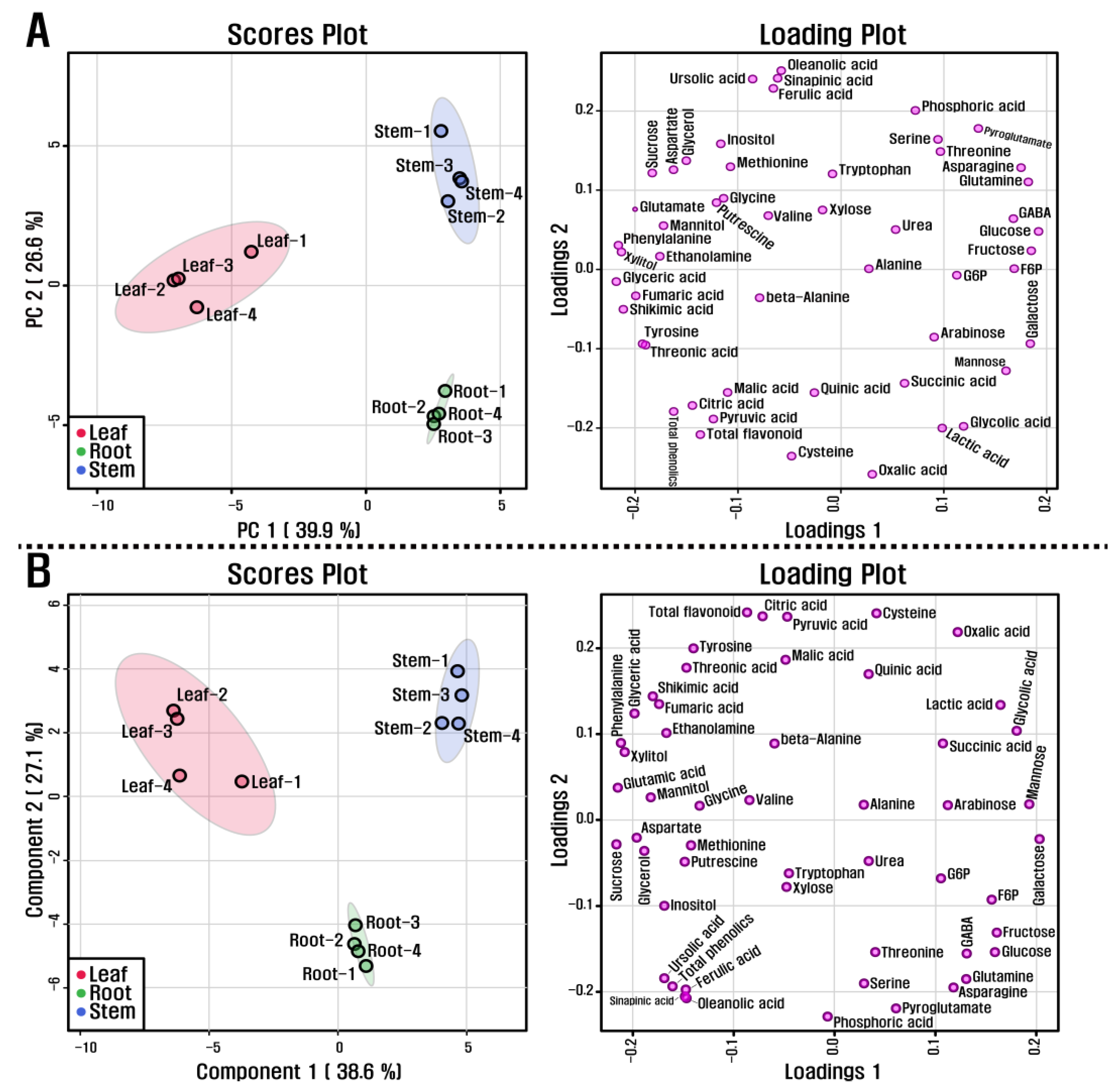 Antioxidants 10 01027 g005