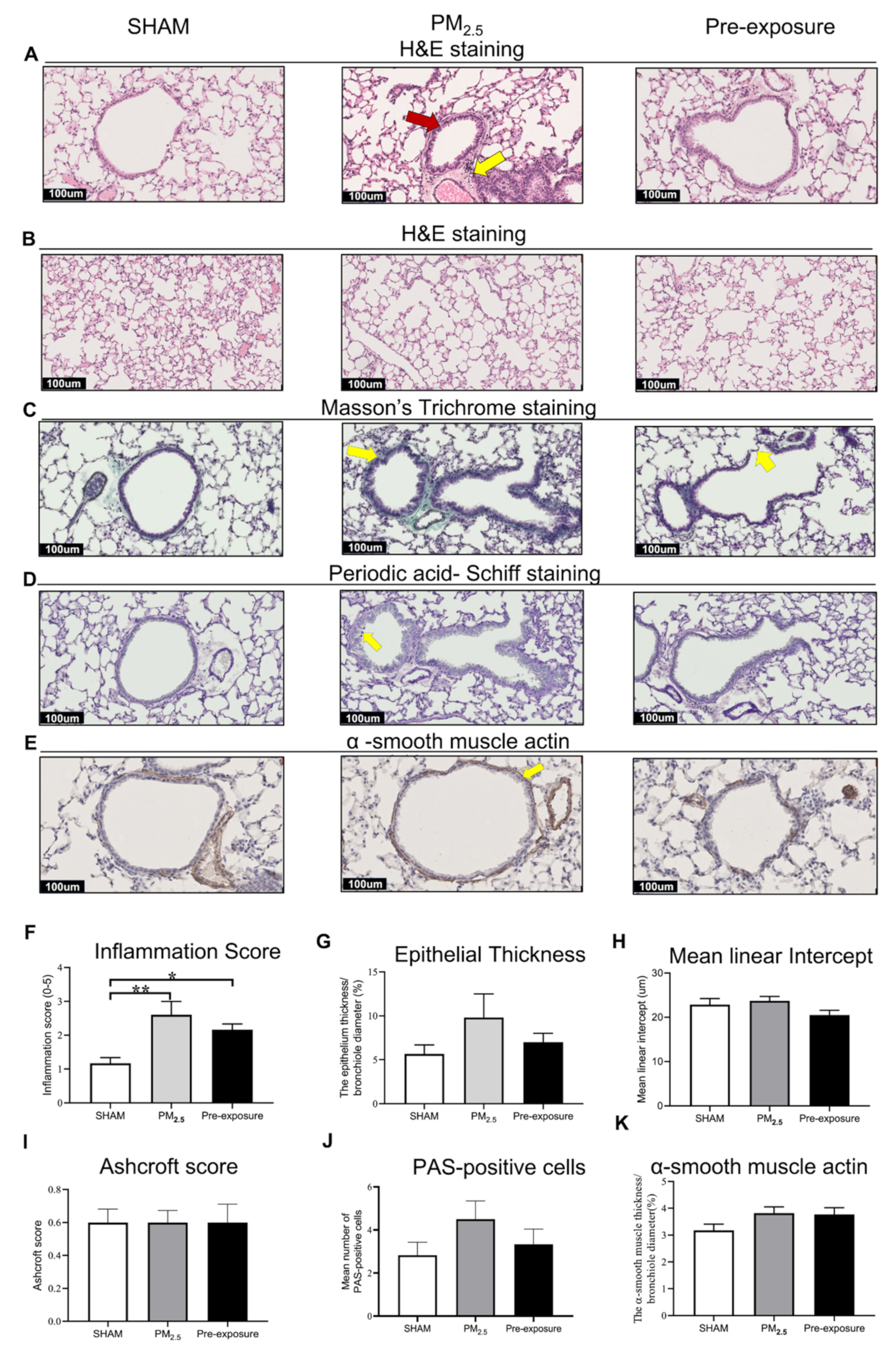 Antioxidants 10 01029 g005