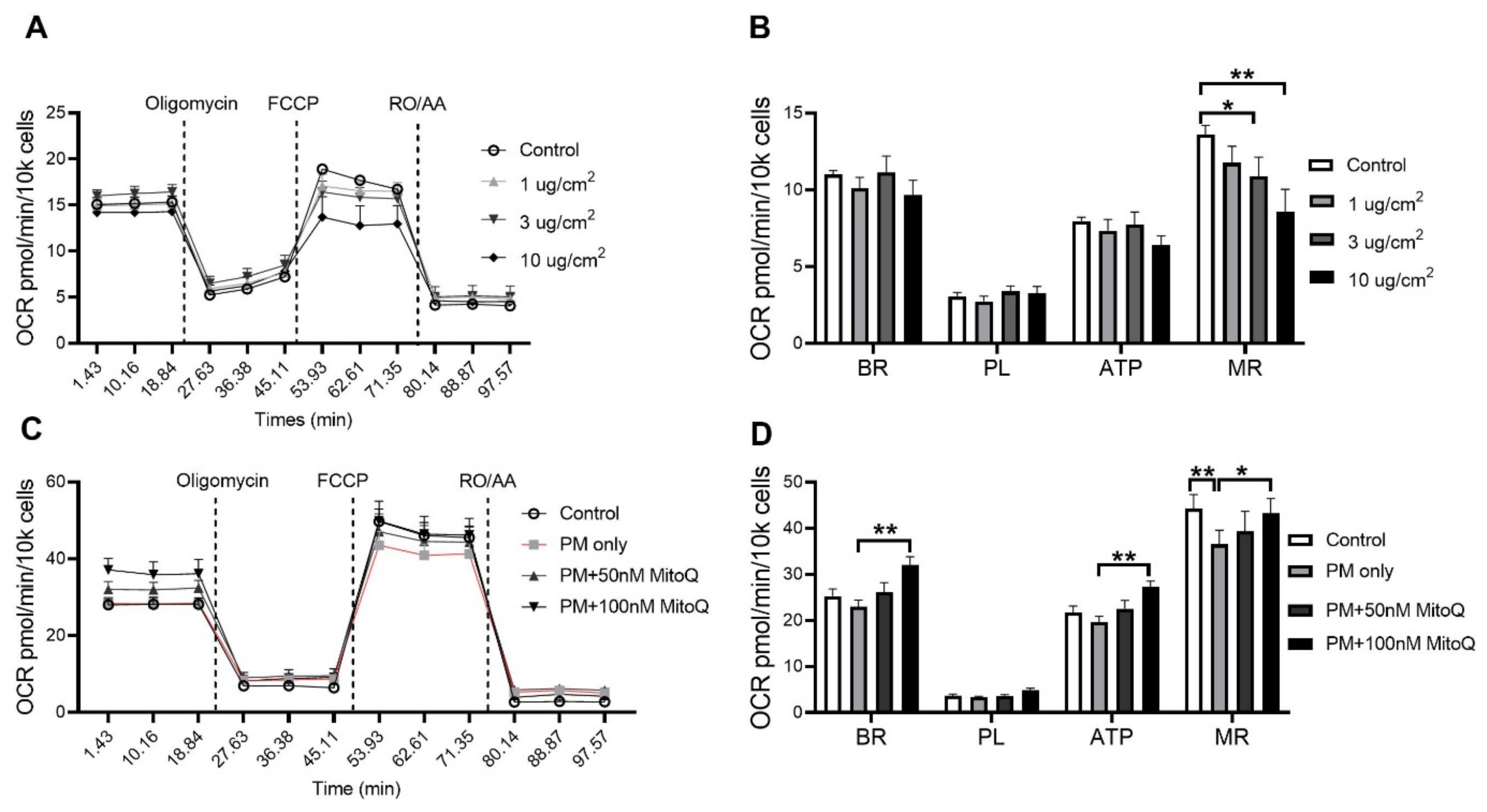 Antioxidants 10 01029 g009