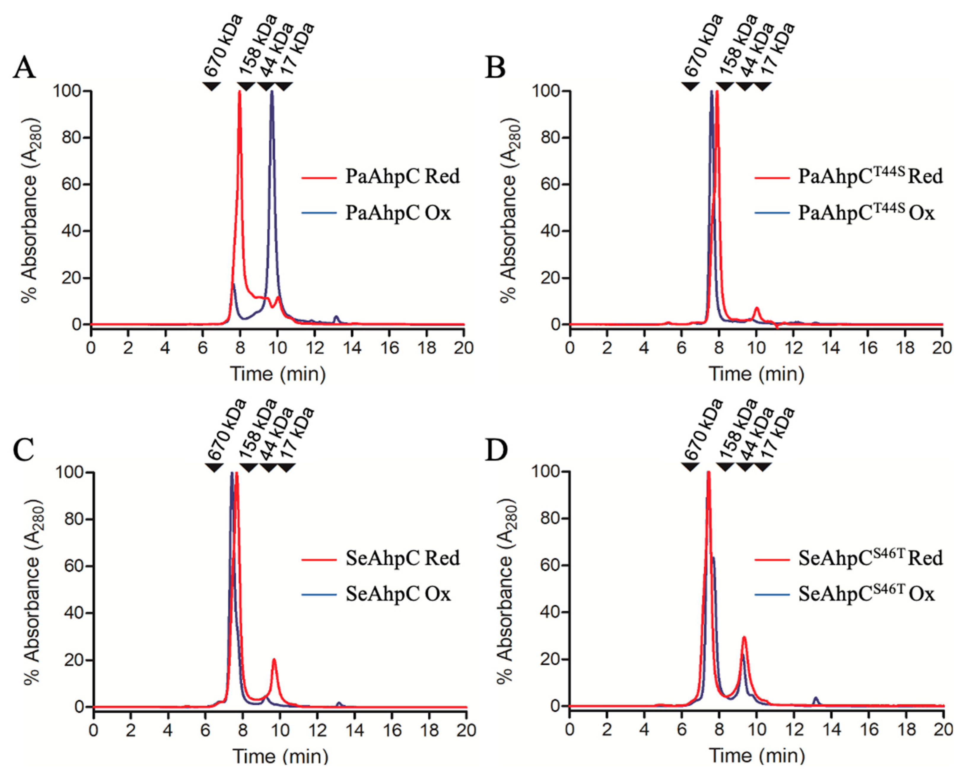 Antioxidants 10 01032 g005