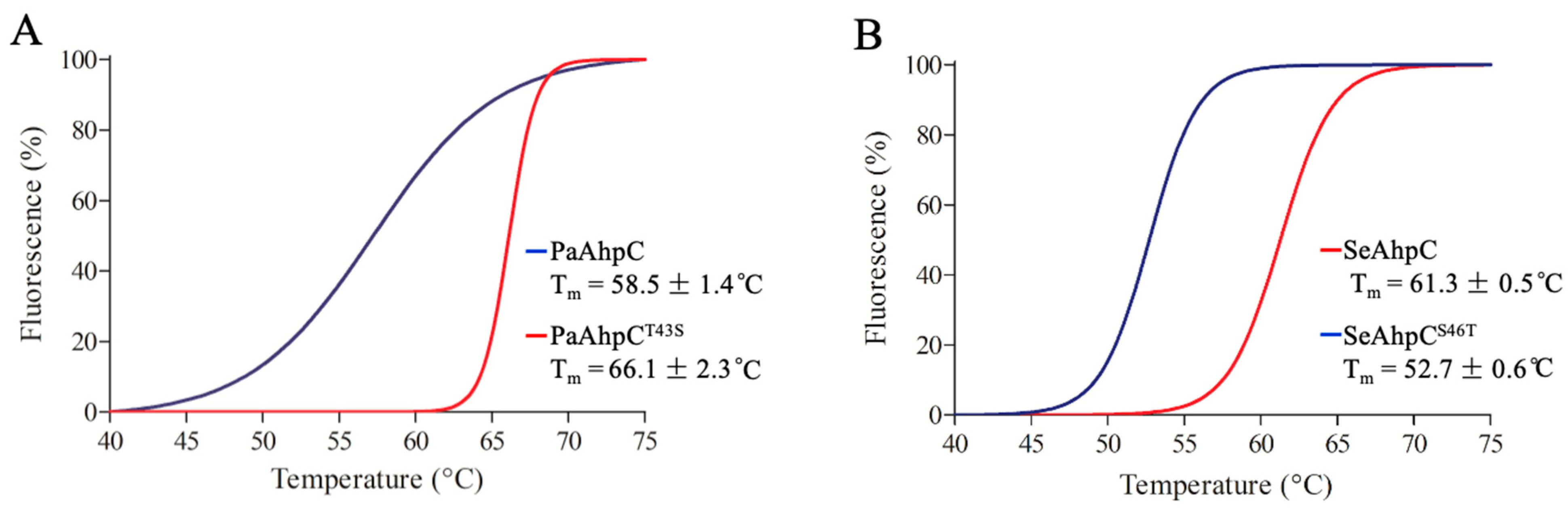 Antioxidants 10 01032 g008