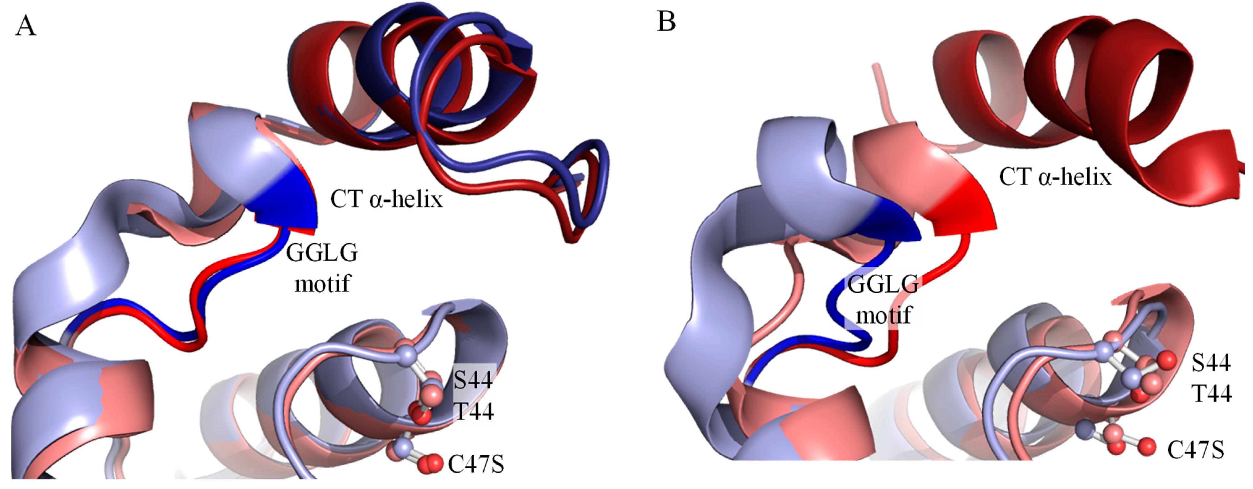 Antioxidants 10 01032 g011