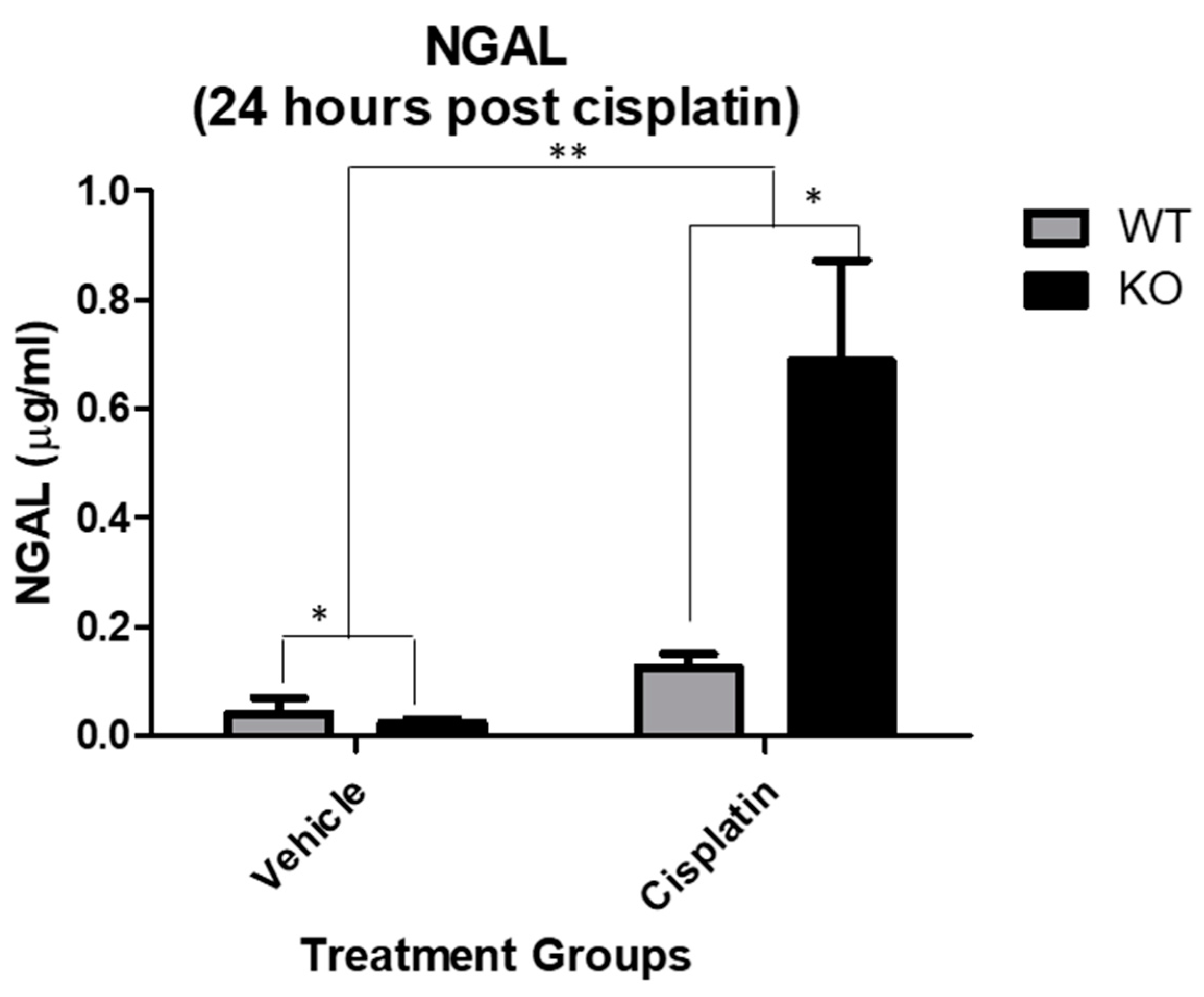 Antioxidants 10 01036 g002