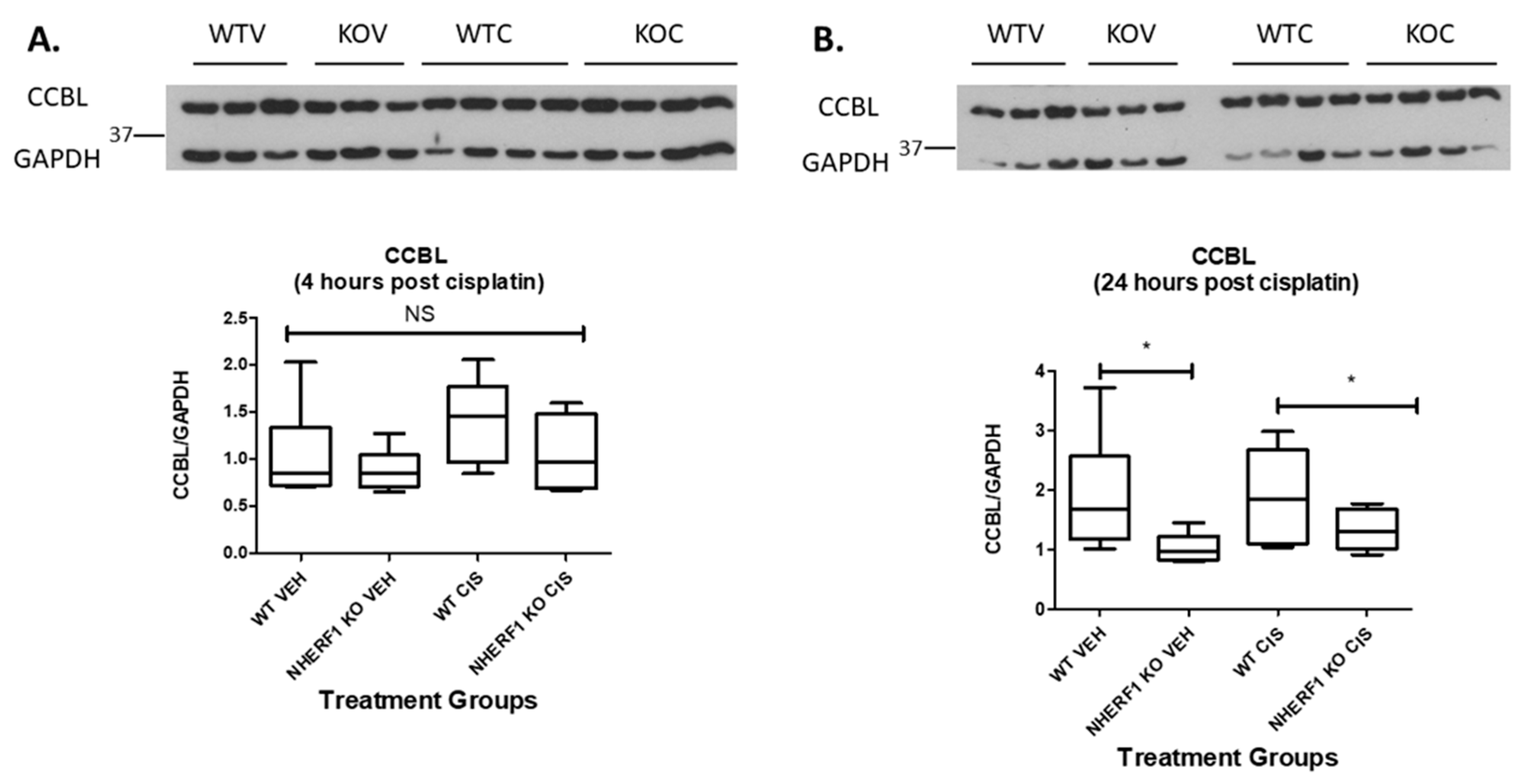Antioxidants 10 01036 g009