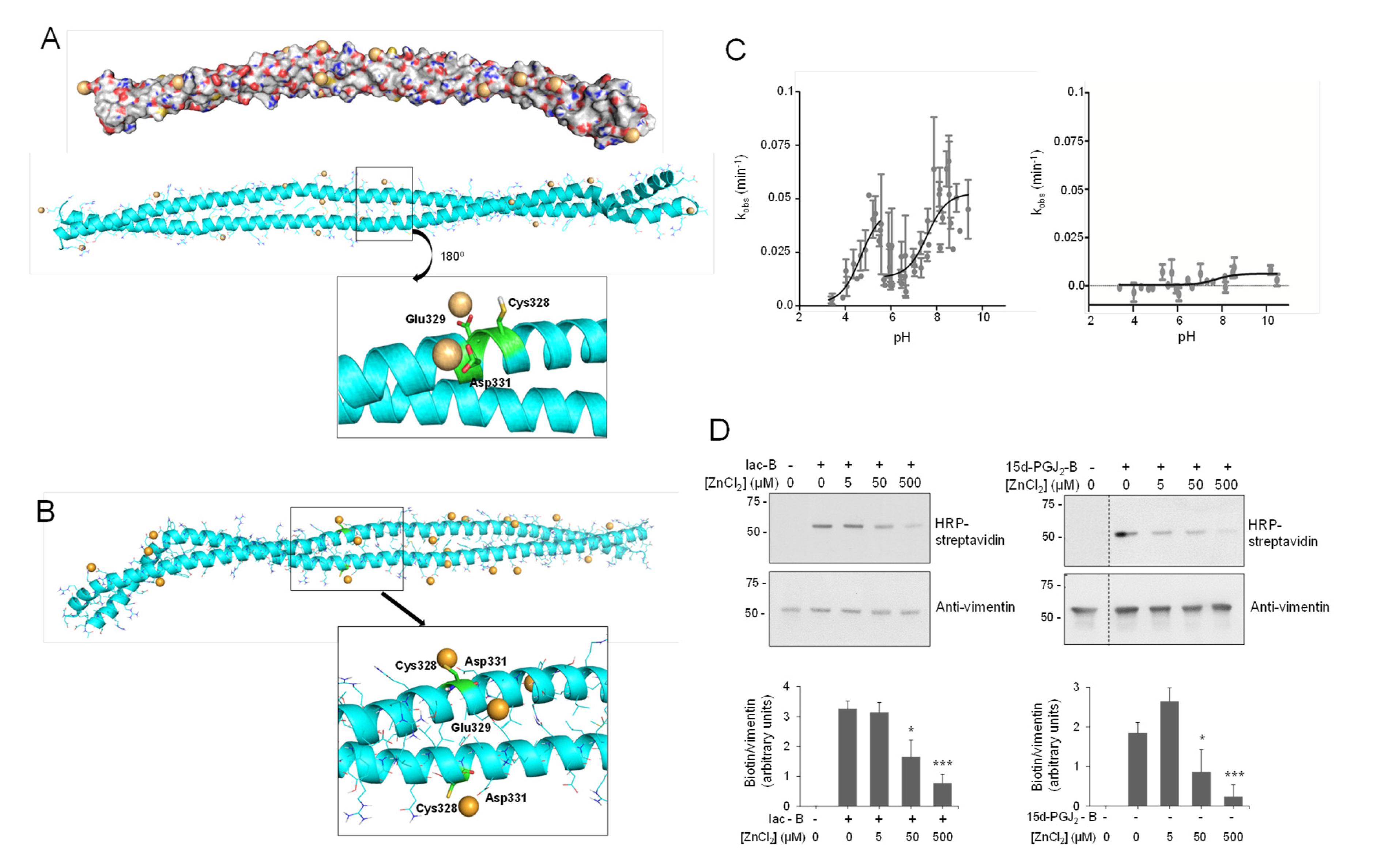 Antioxidants 10 01039 g002