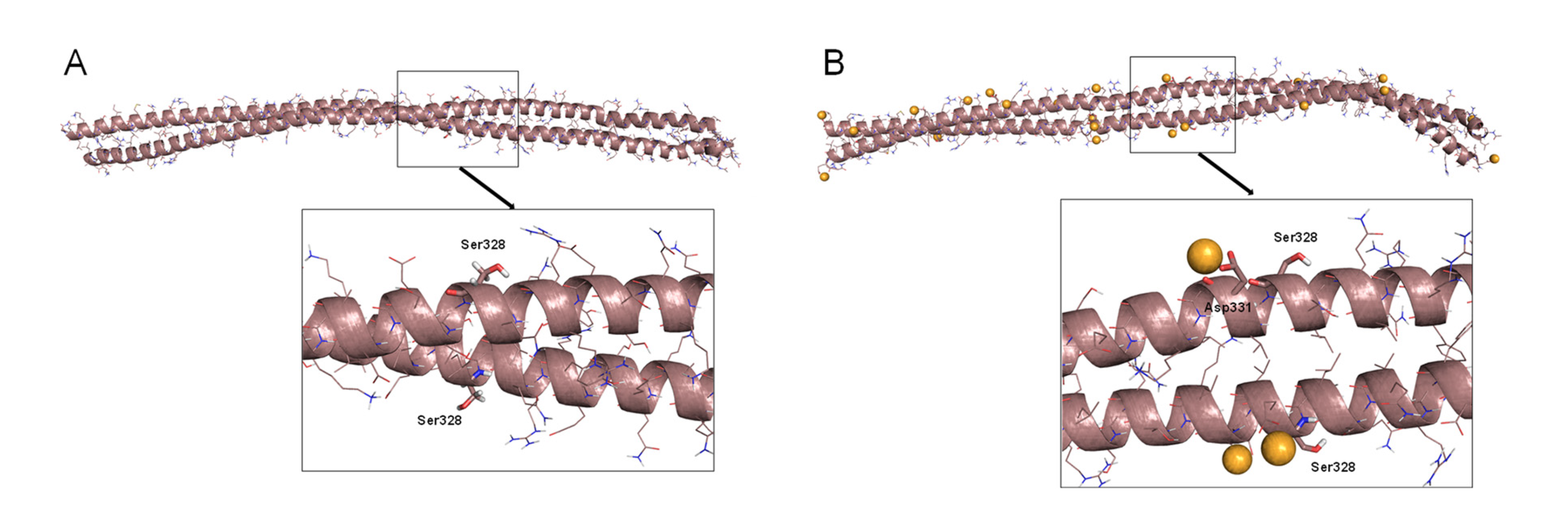 Antioxidants 10 01039 g003