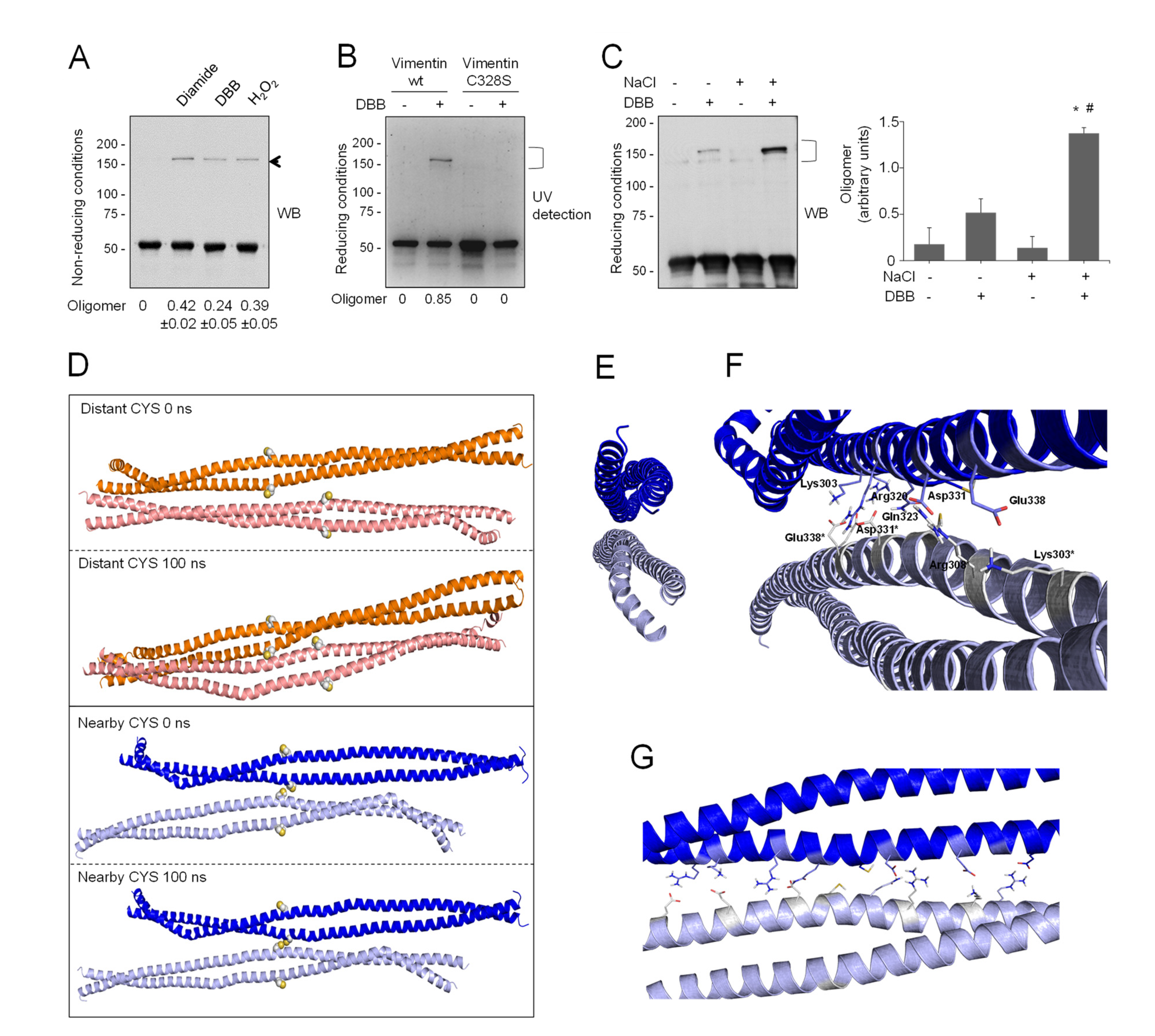 Antioxidants 10 01039 g004