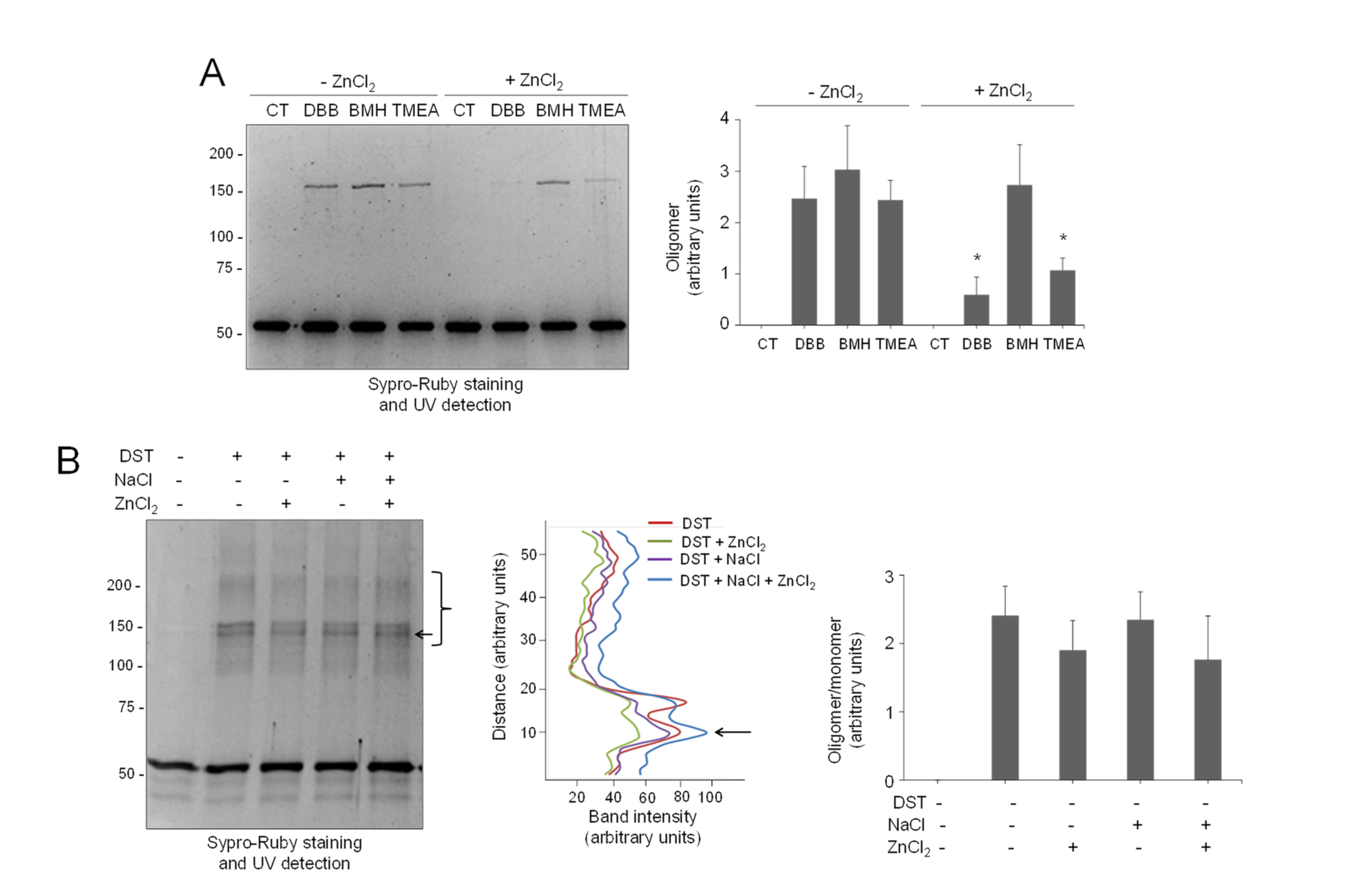 Antioxidants 10 01039 g006