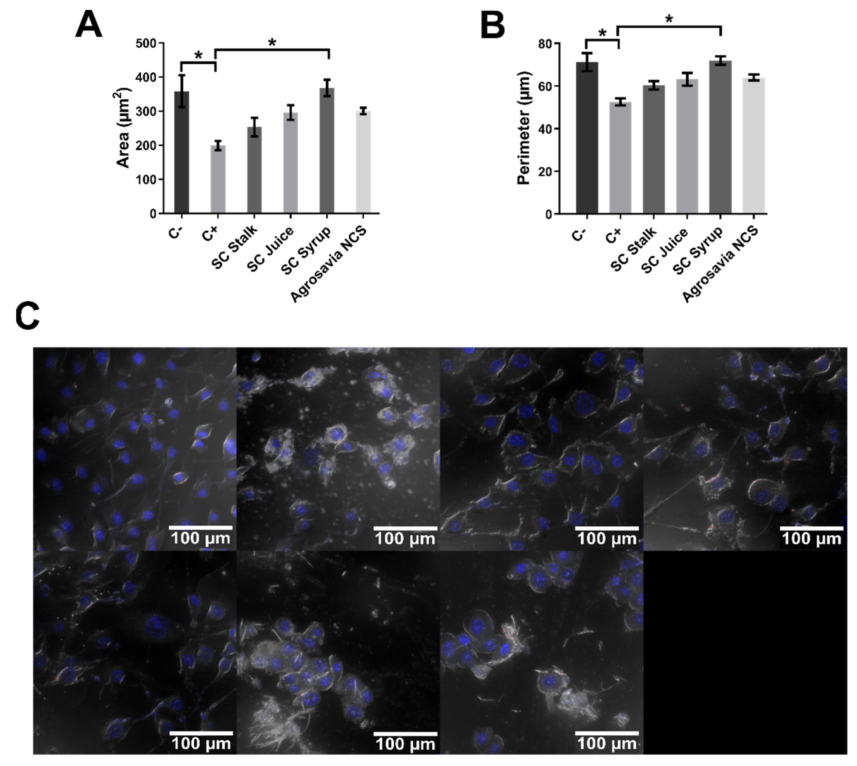 Antioxidants 10 01040 g006