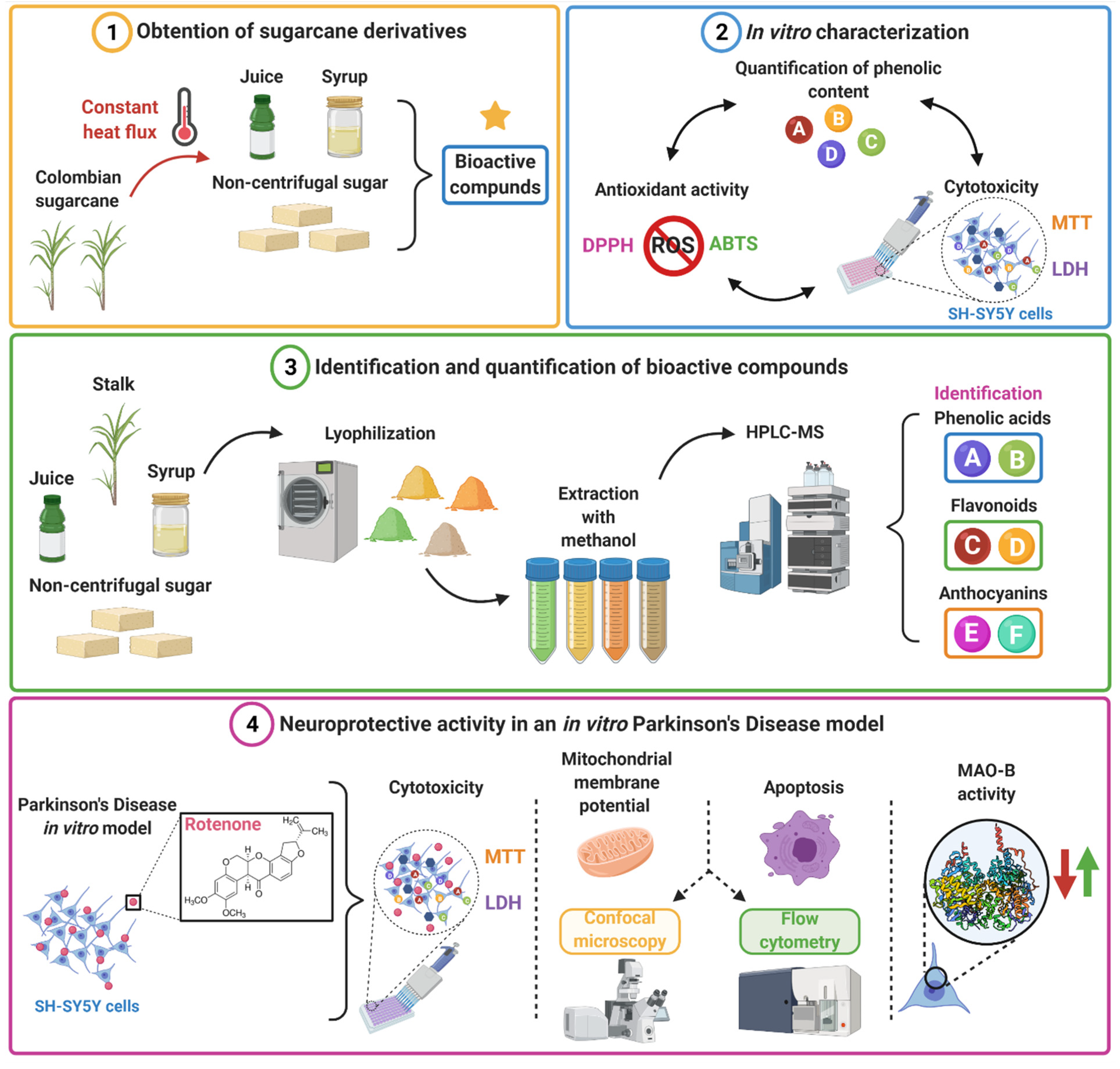 Antioxidants 10 01040 sch001