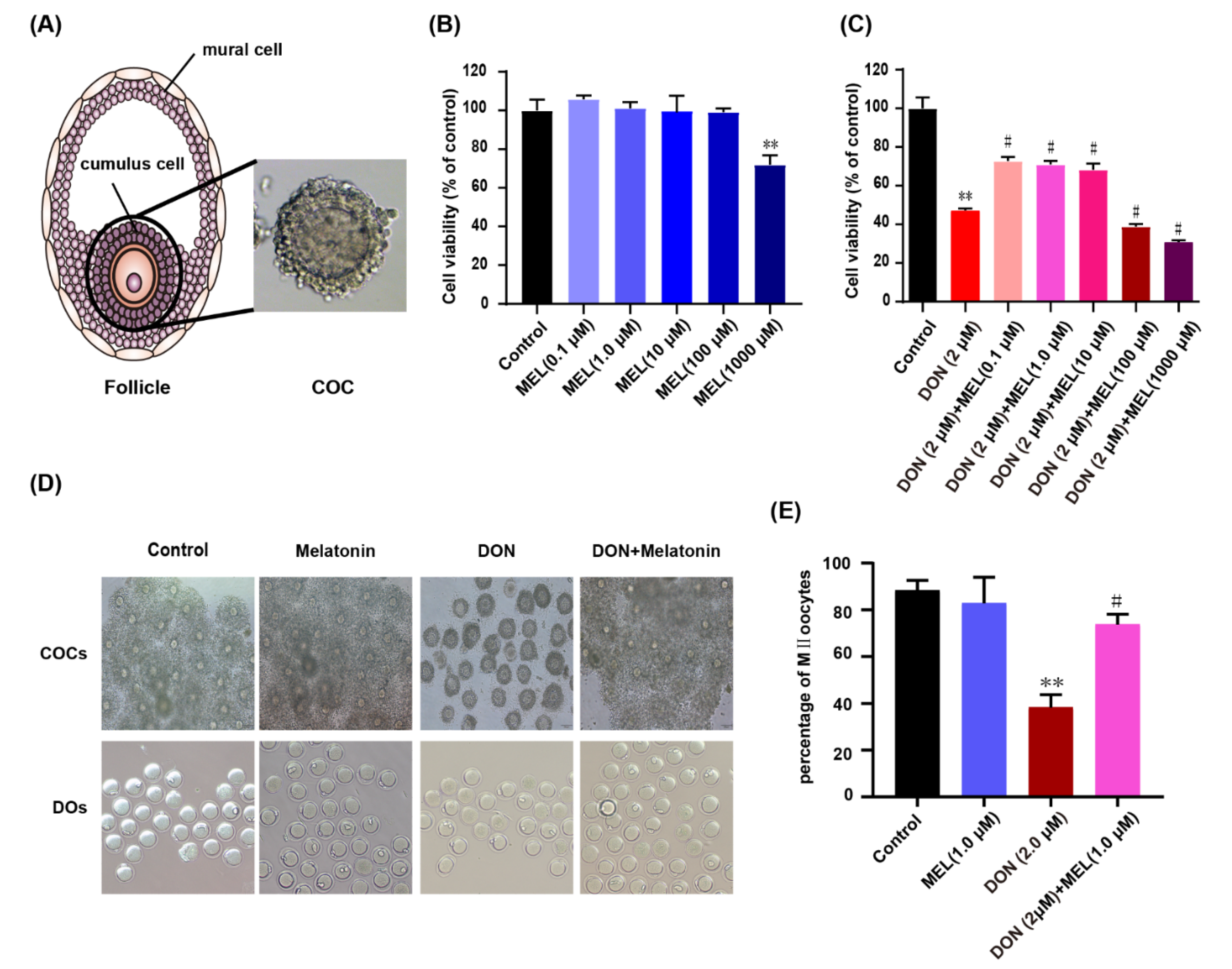 Antioxidants 10 01045 g001