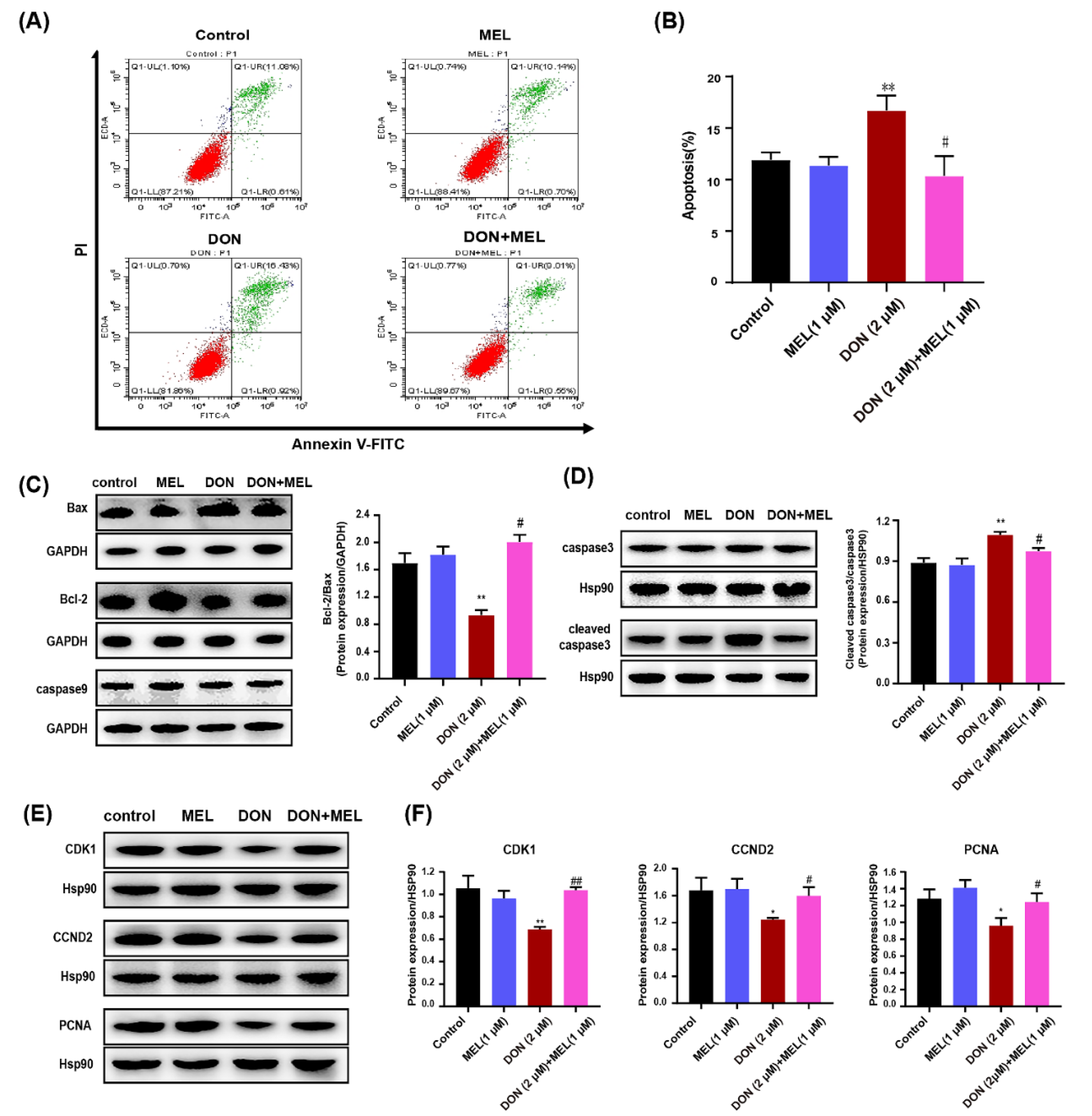 Antioxidants 10 01045 g002