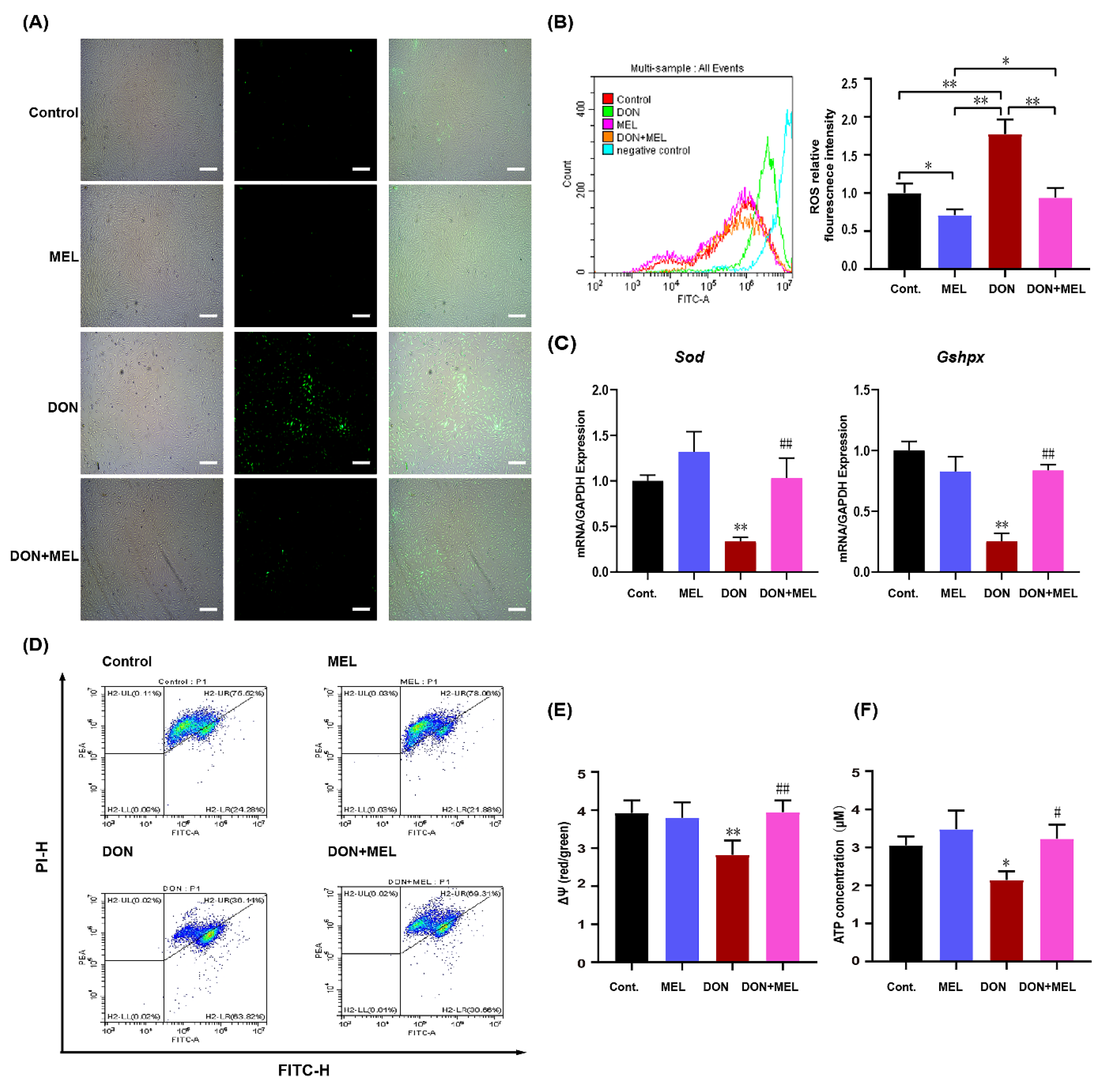 Antioxidants 10 01045 g003