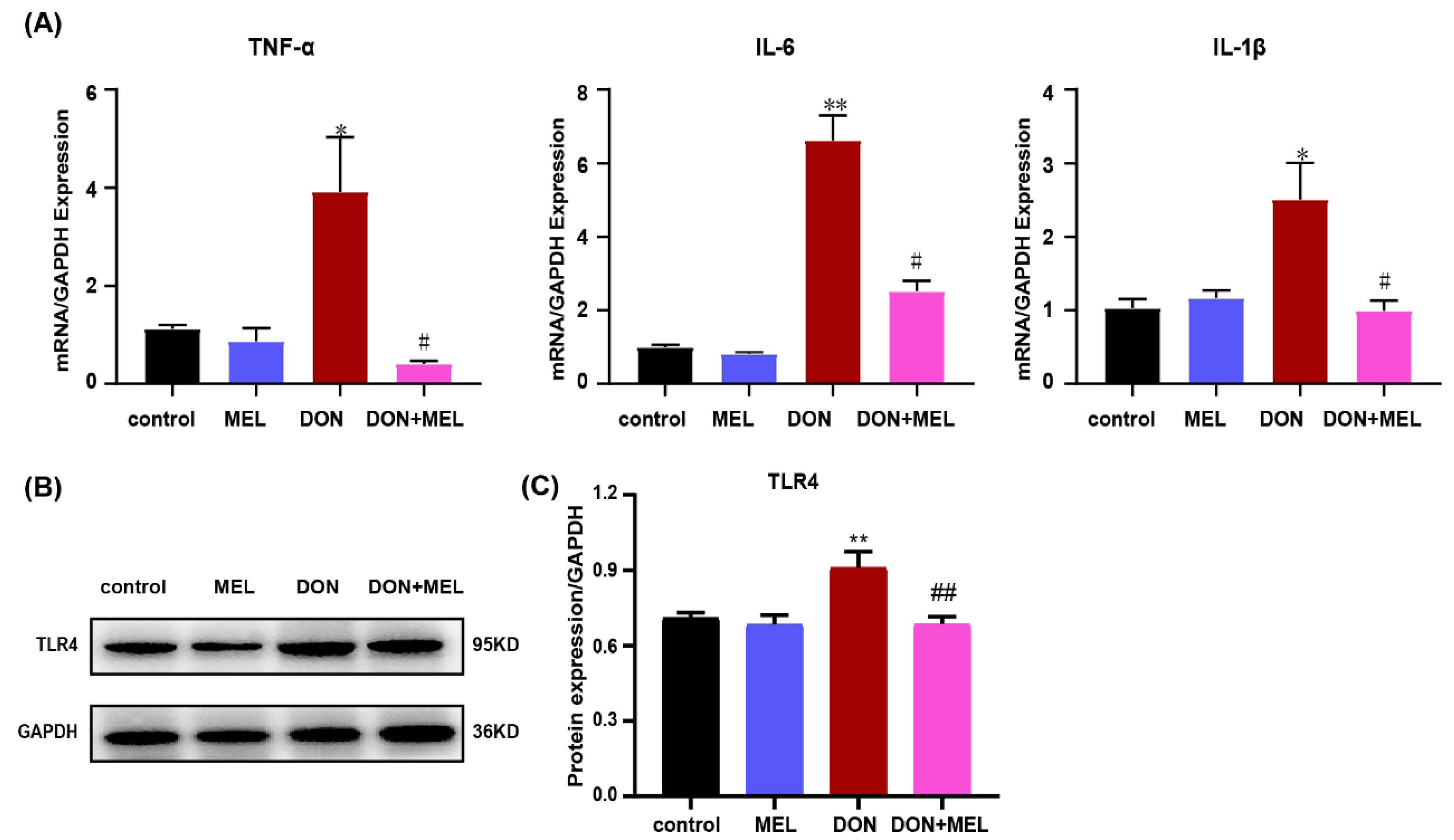 Antioxidants 10 01045 g004