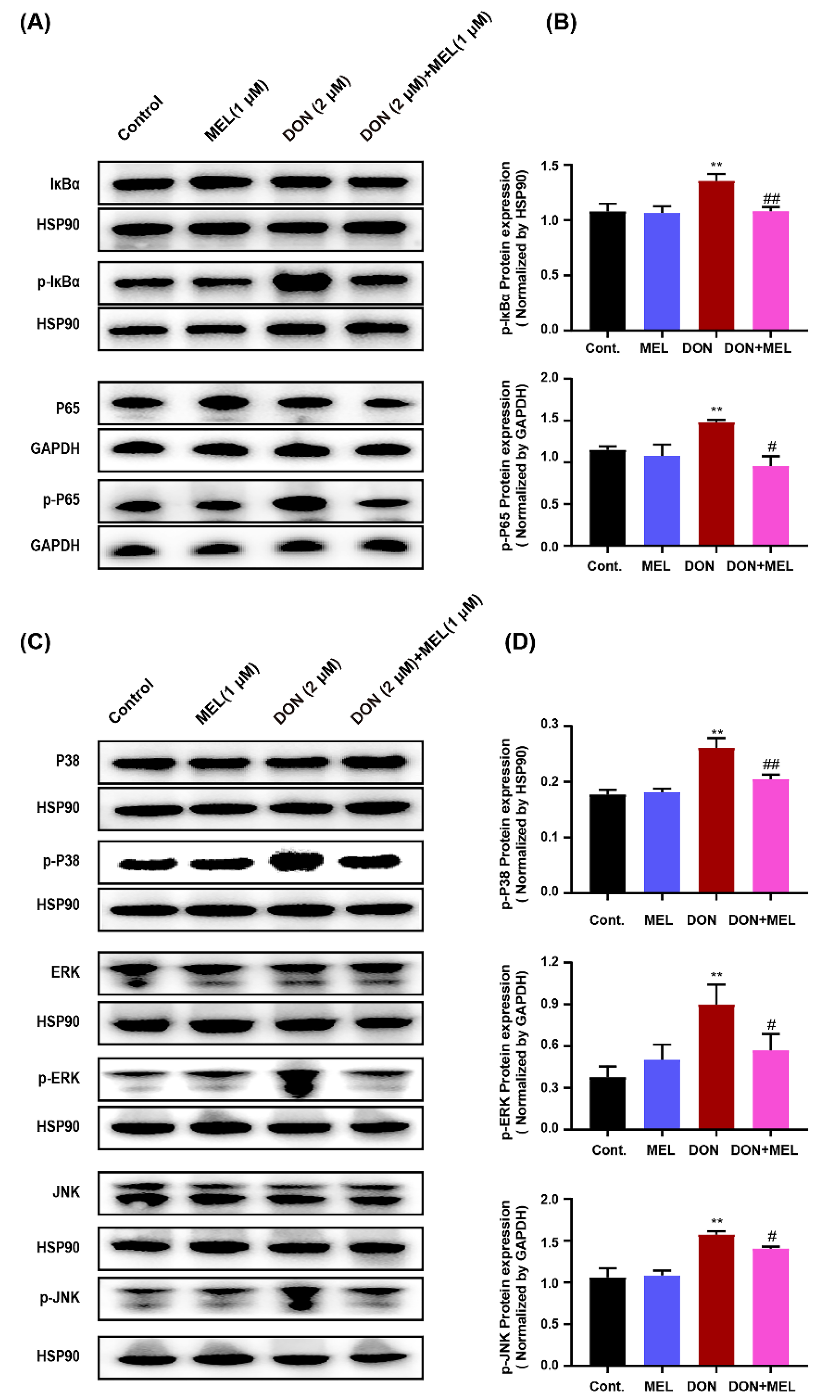 Antioxidants 10 01045 g006