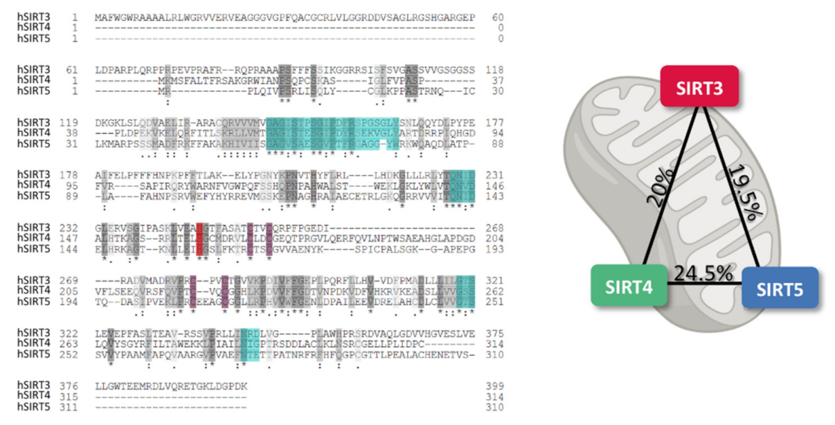 Antioxidants 10 01047 g001