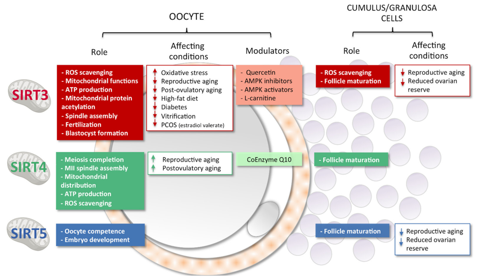 Antioxidants 10 01047 g004