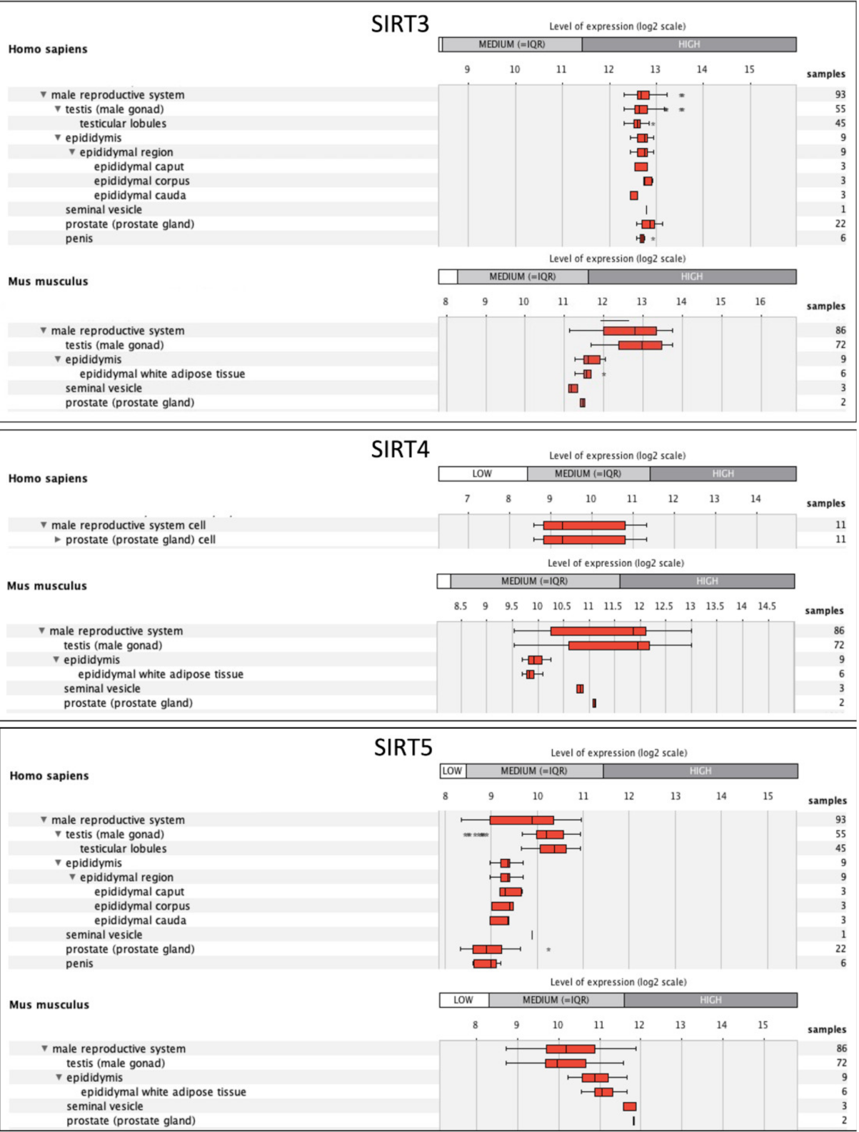 Antioxidants 10 01047 g005