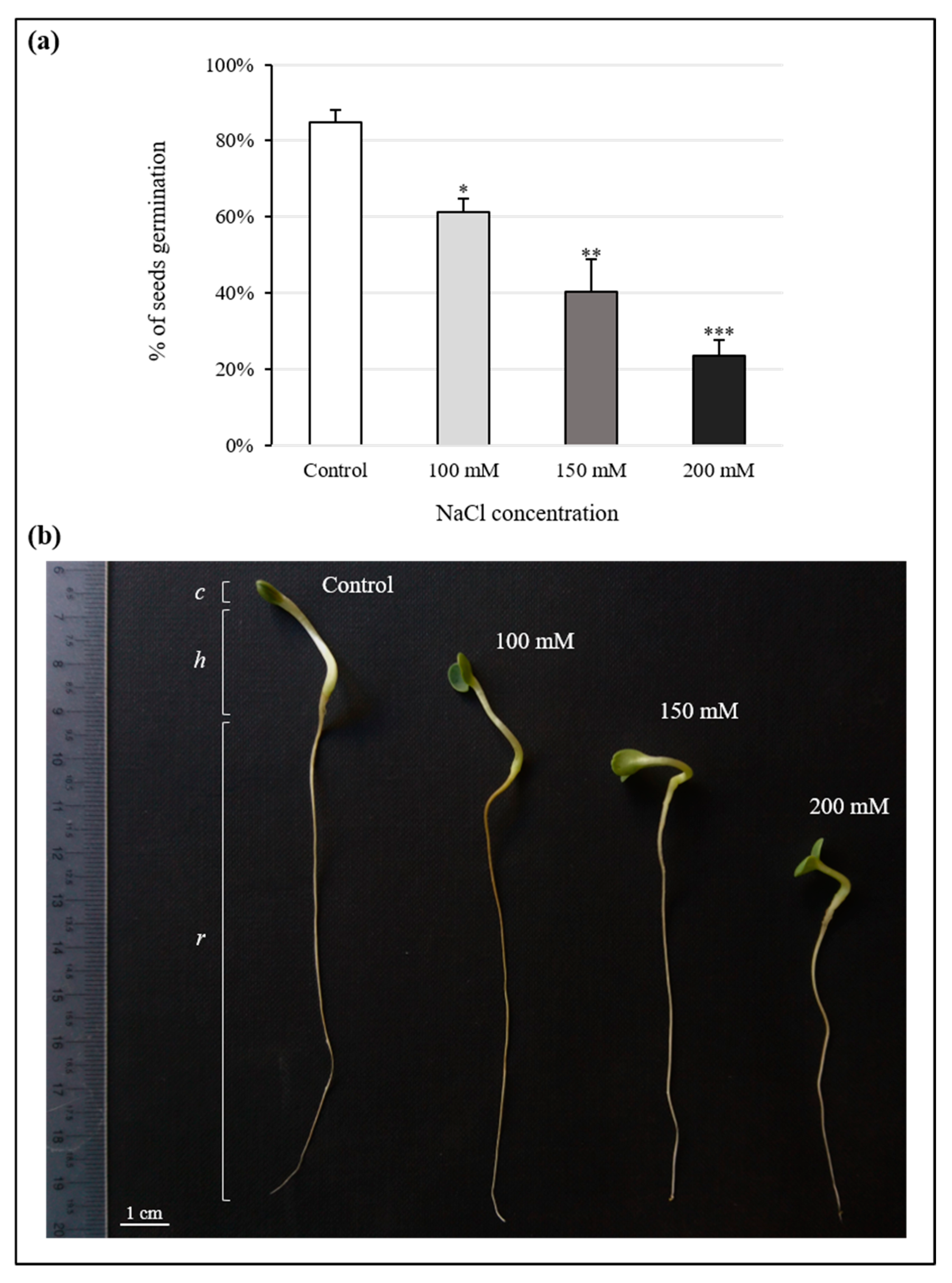 Antioxidants 10 01048 g001