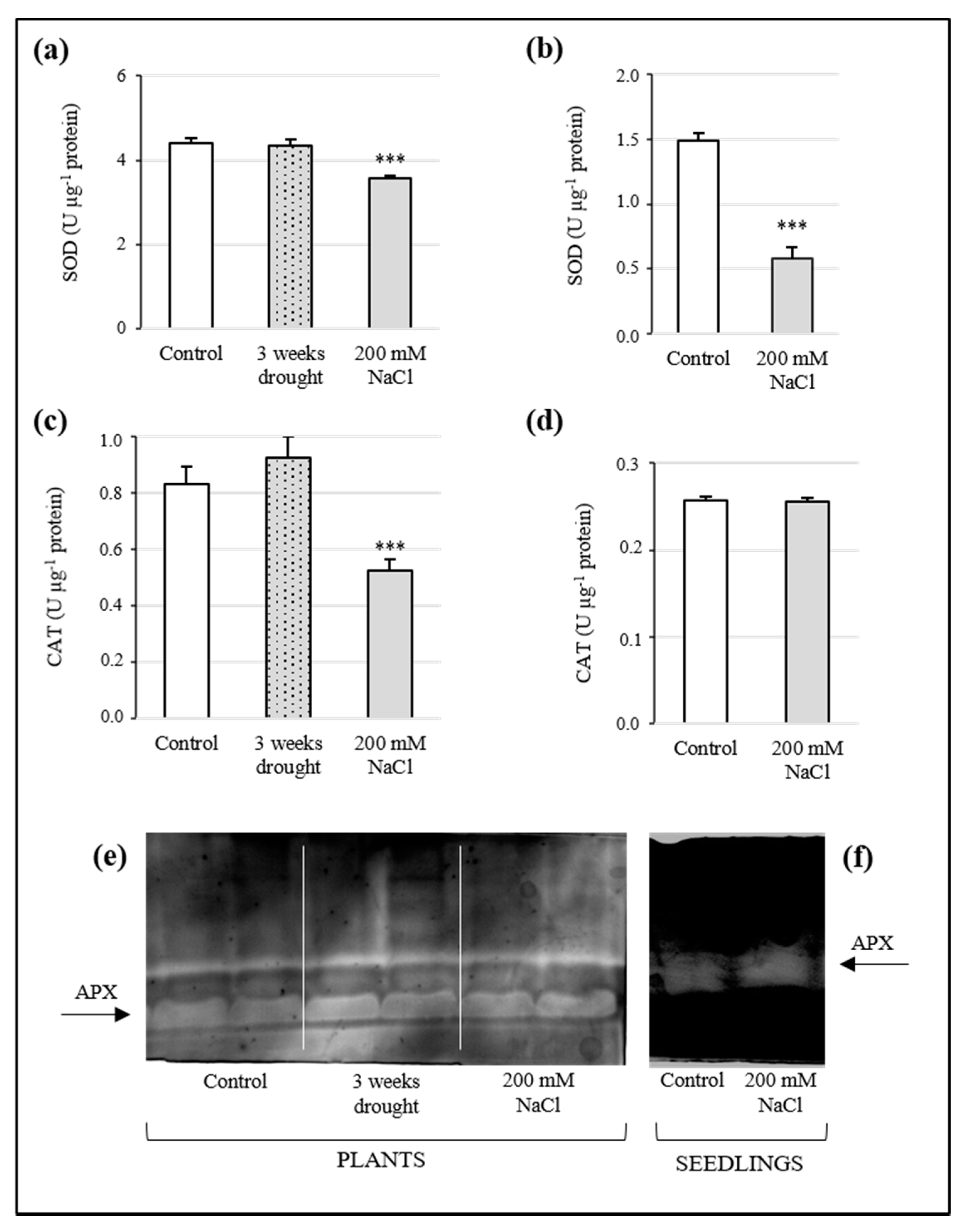 Antioxidants 10 01048 g005
