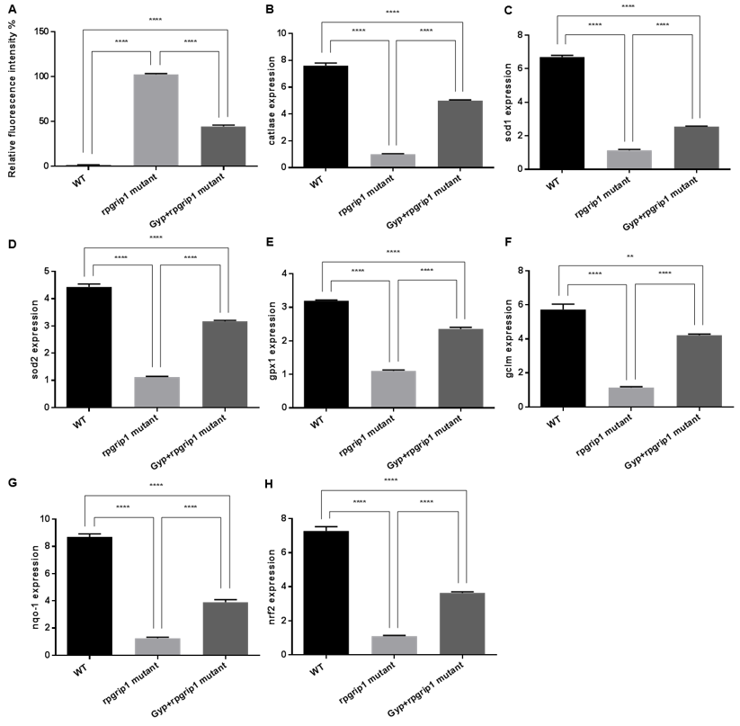 Antioxidants 10 01050 g004 Antioxidants 10 01050 g004