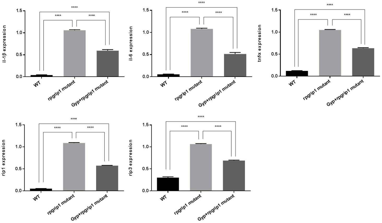 Antioxidants 10 01050 g006 Antioxidants 10 01050 g006