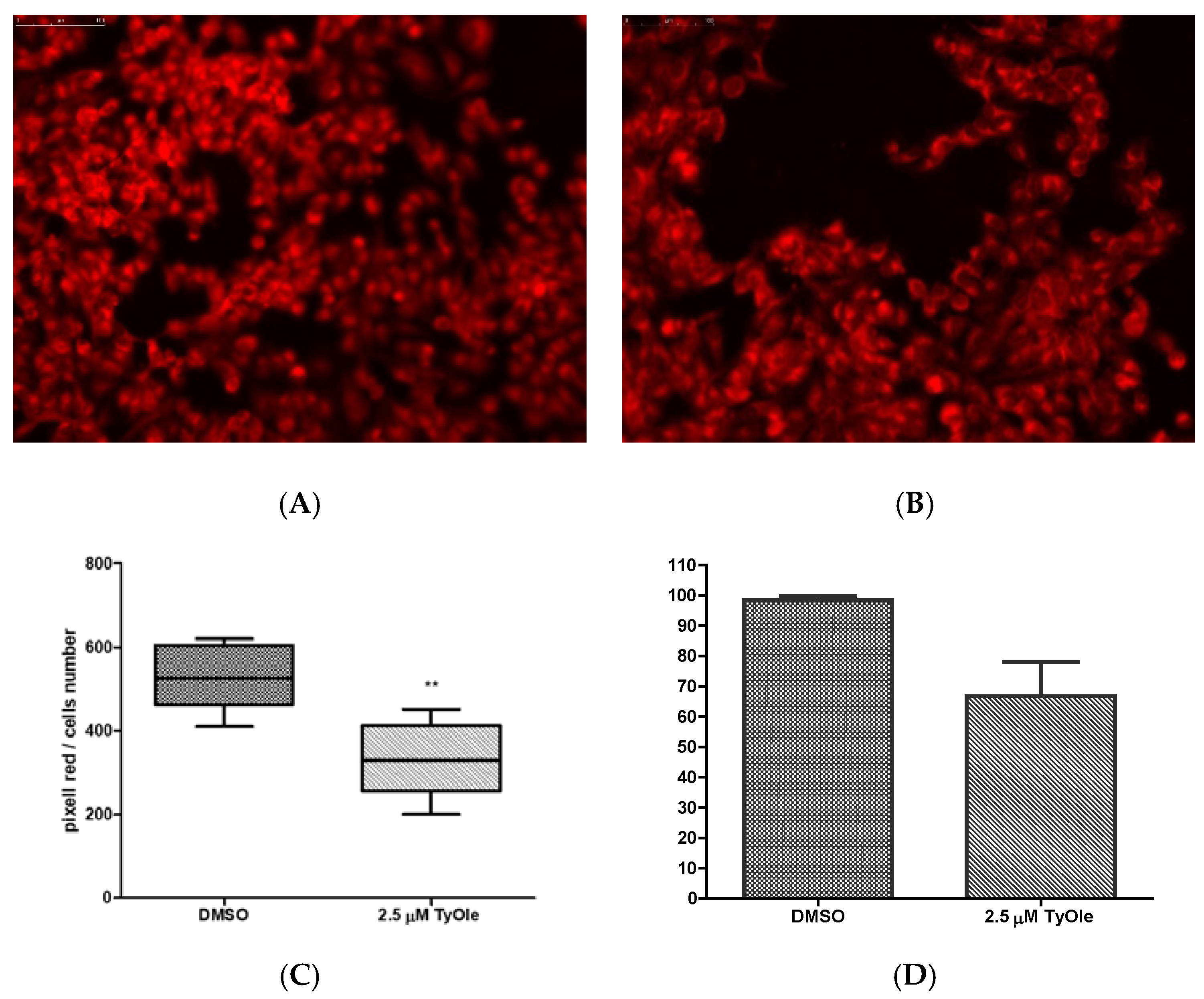Antioxidants 10 01051 g005