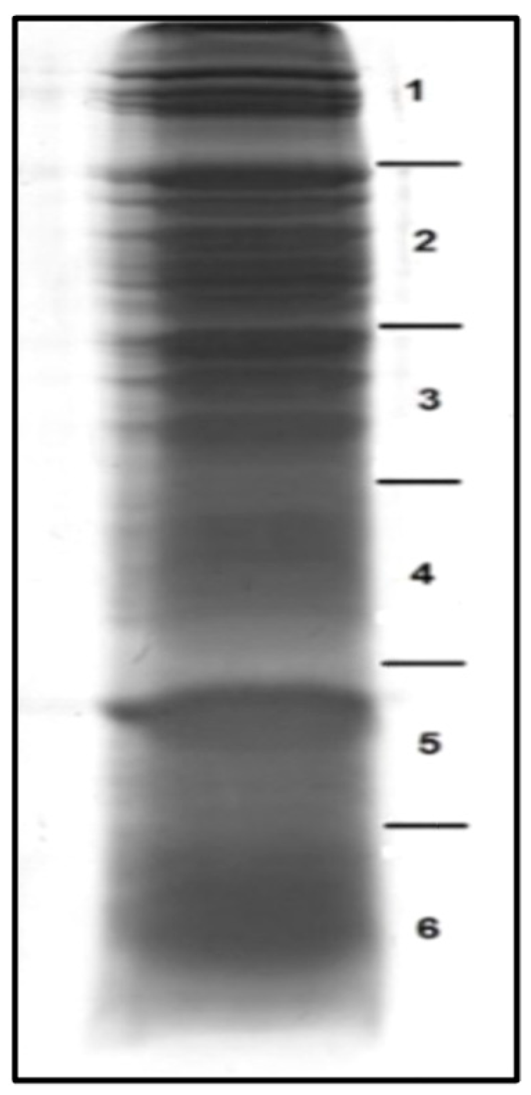 Antioxidants 10 01055 g001
