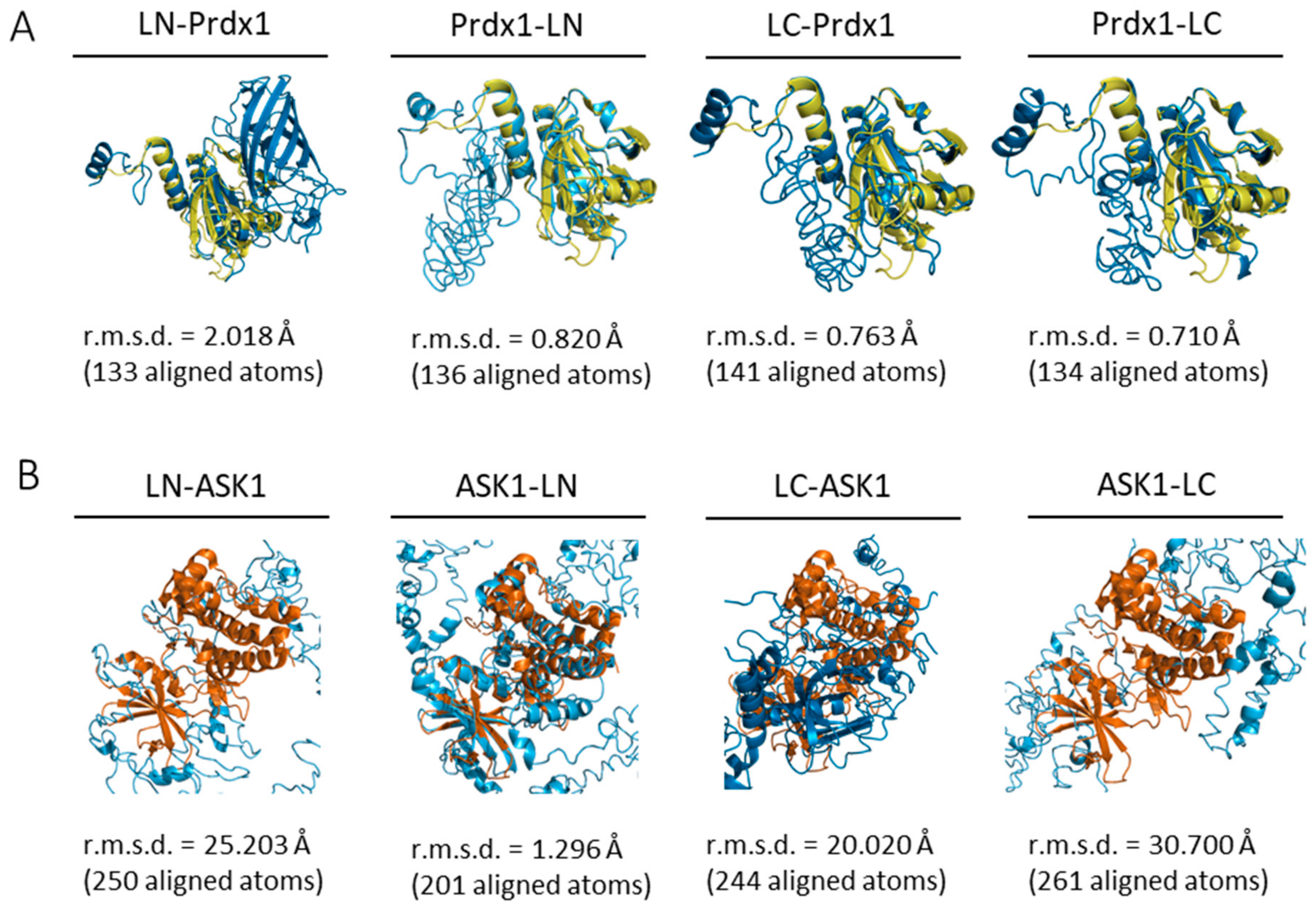 Antioxidants 10 01060 g002