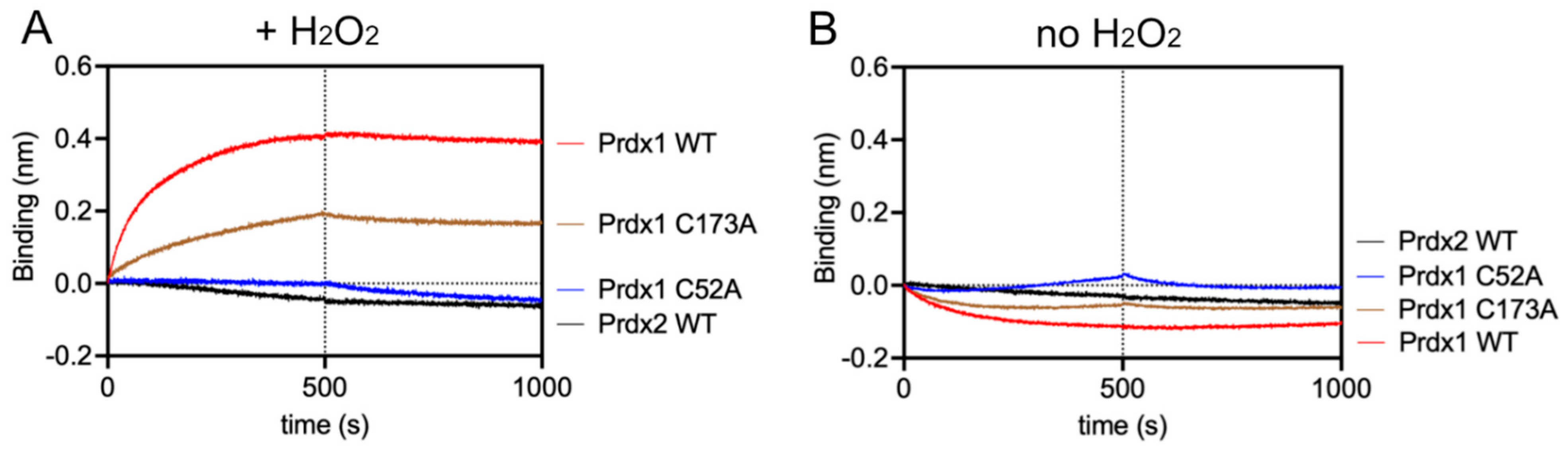 Antioxidants 10 01060 g004