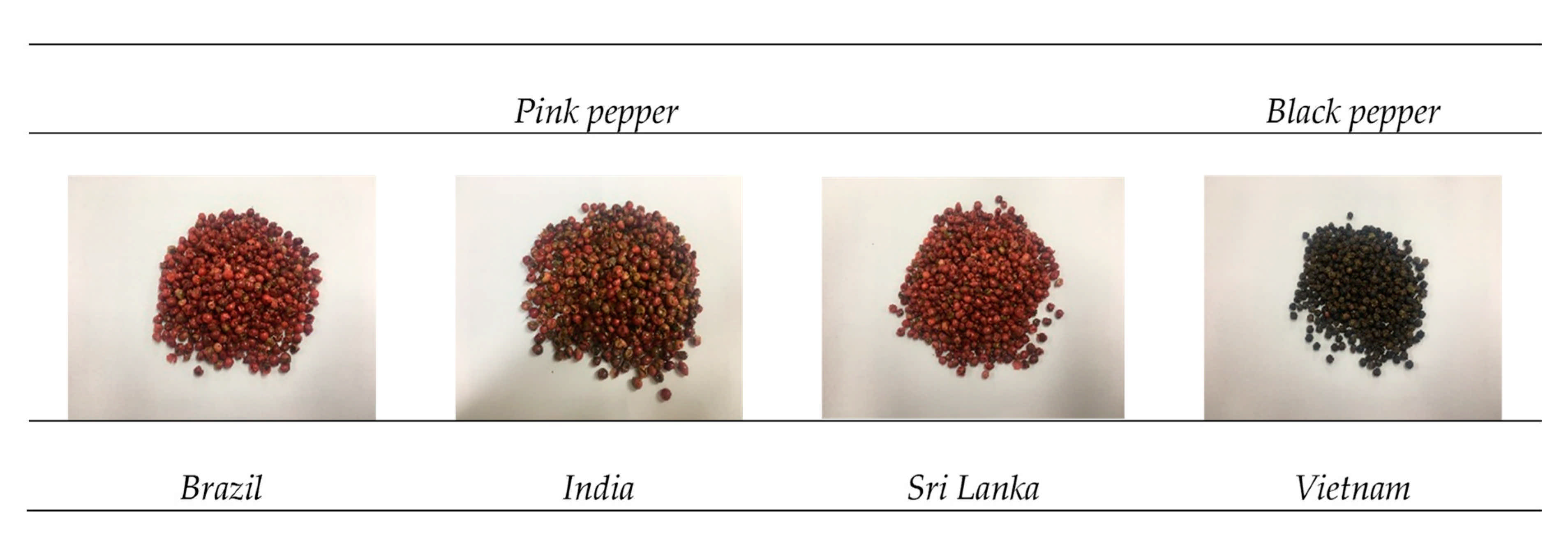 Antioxidants 10 01062 g001