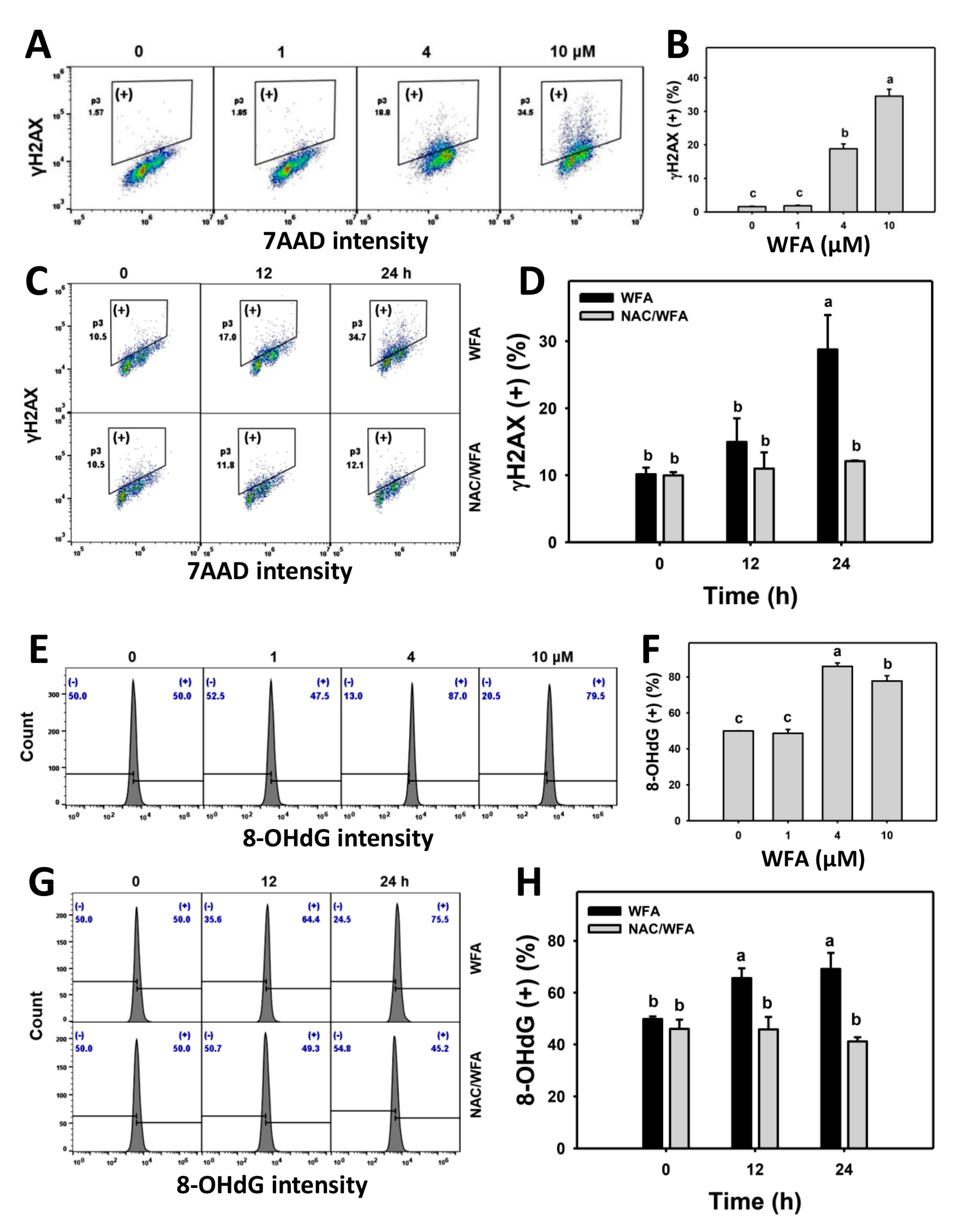 Antioxidants 10 01063 g008