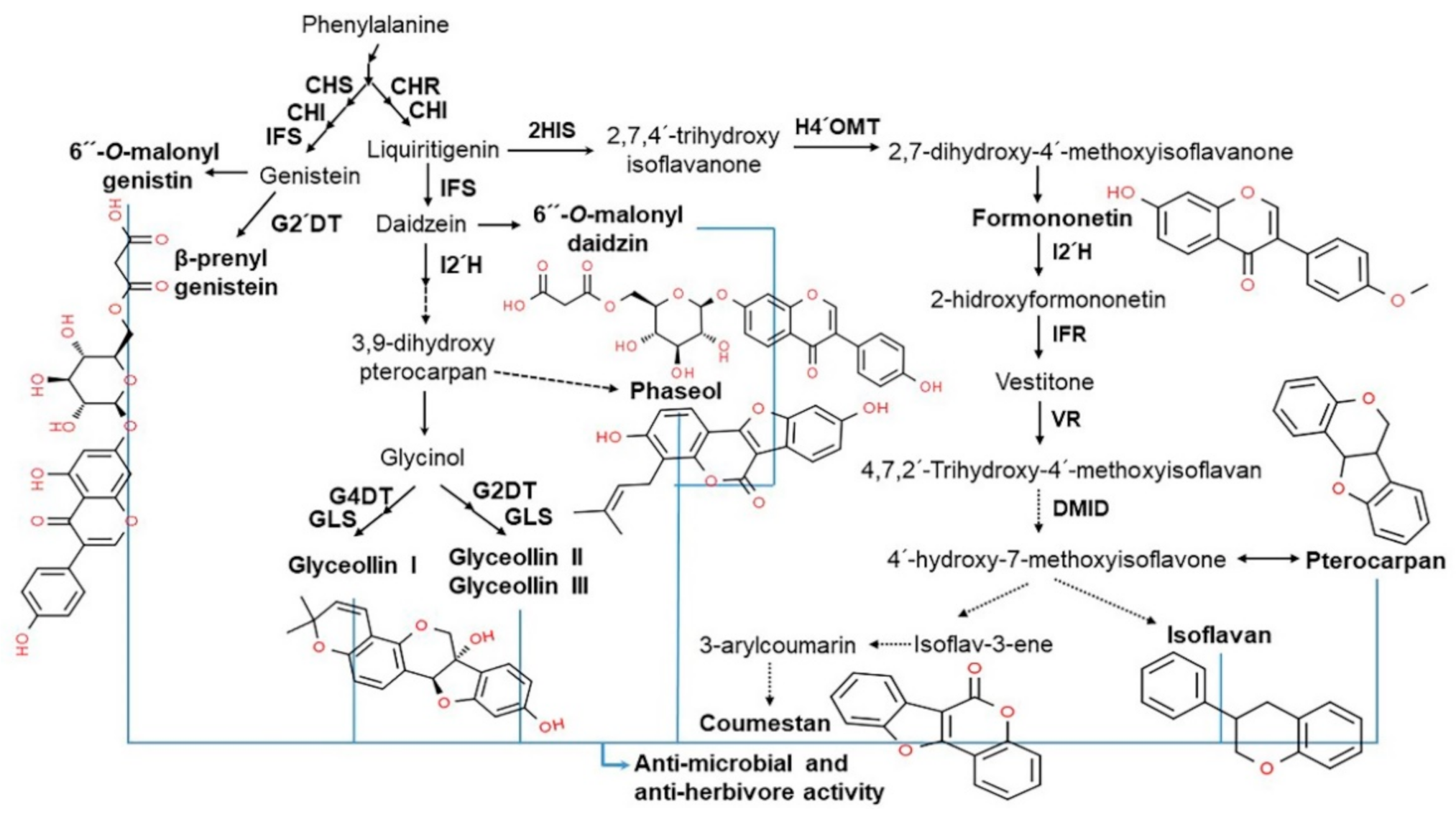 Antioxidants 10 01064 g003