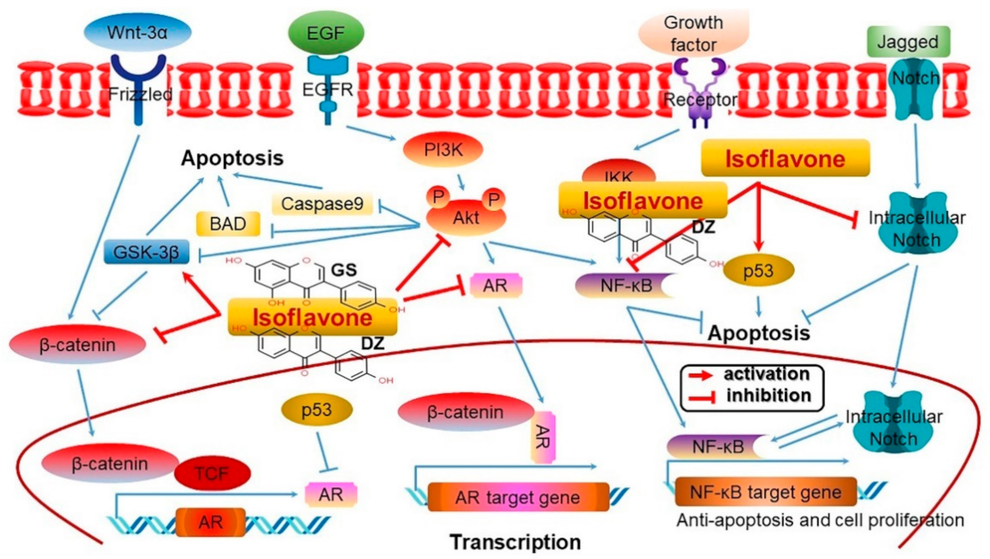 Antioxidants 10 01064 g009