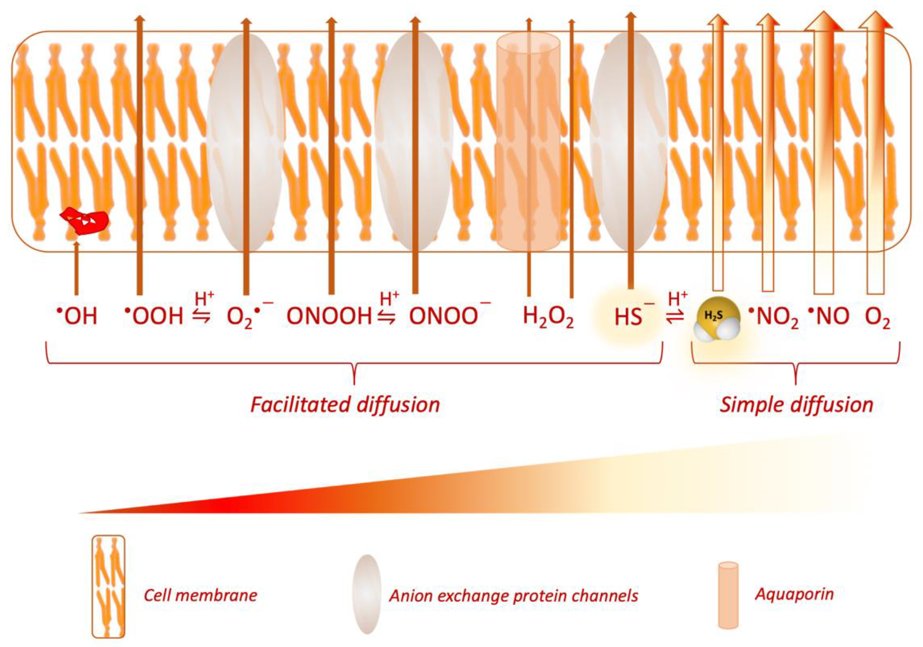 Antioxidants 10 01065 g002