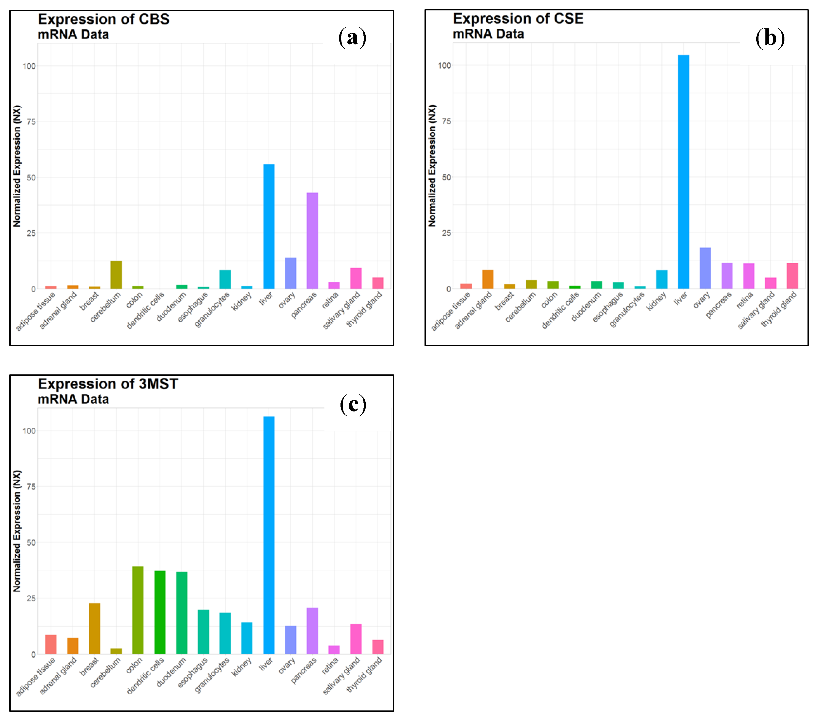 Antioxidants 10 01065 g005