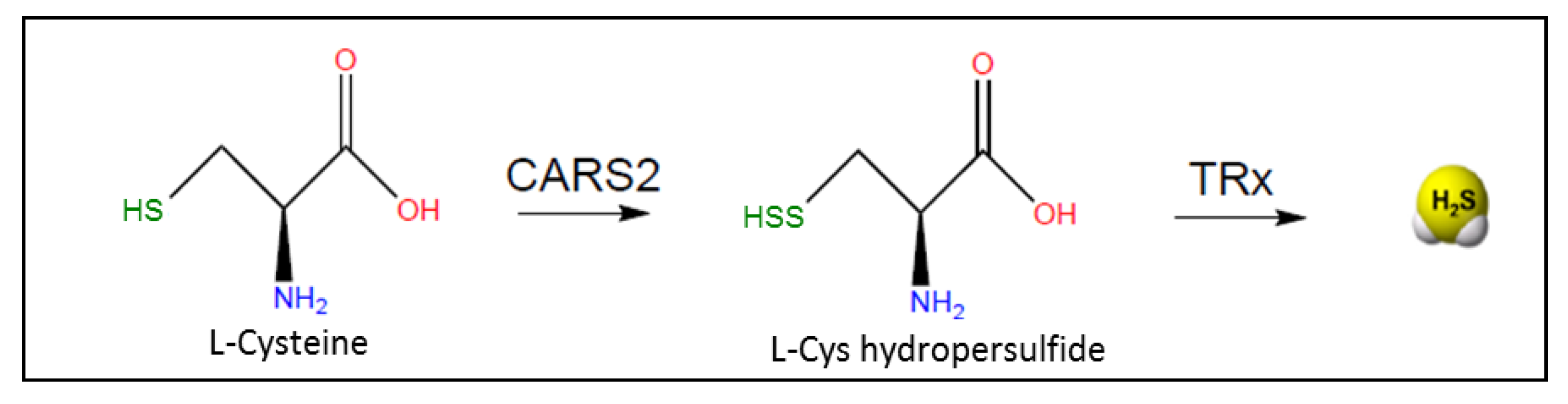 Antioxidants 10 01065 g006