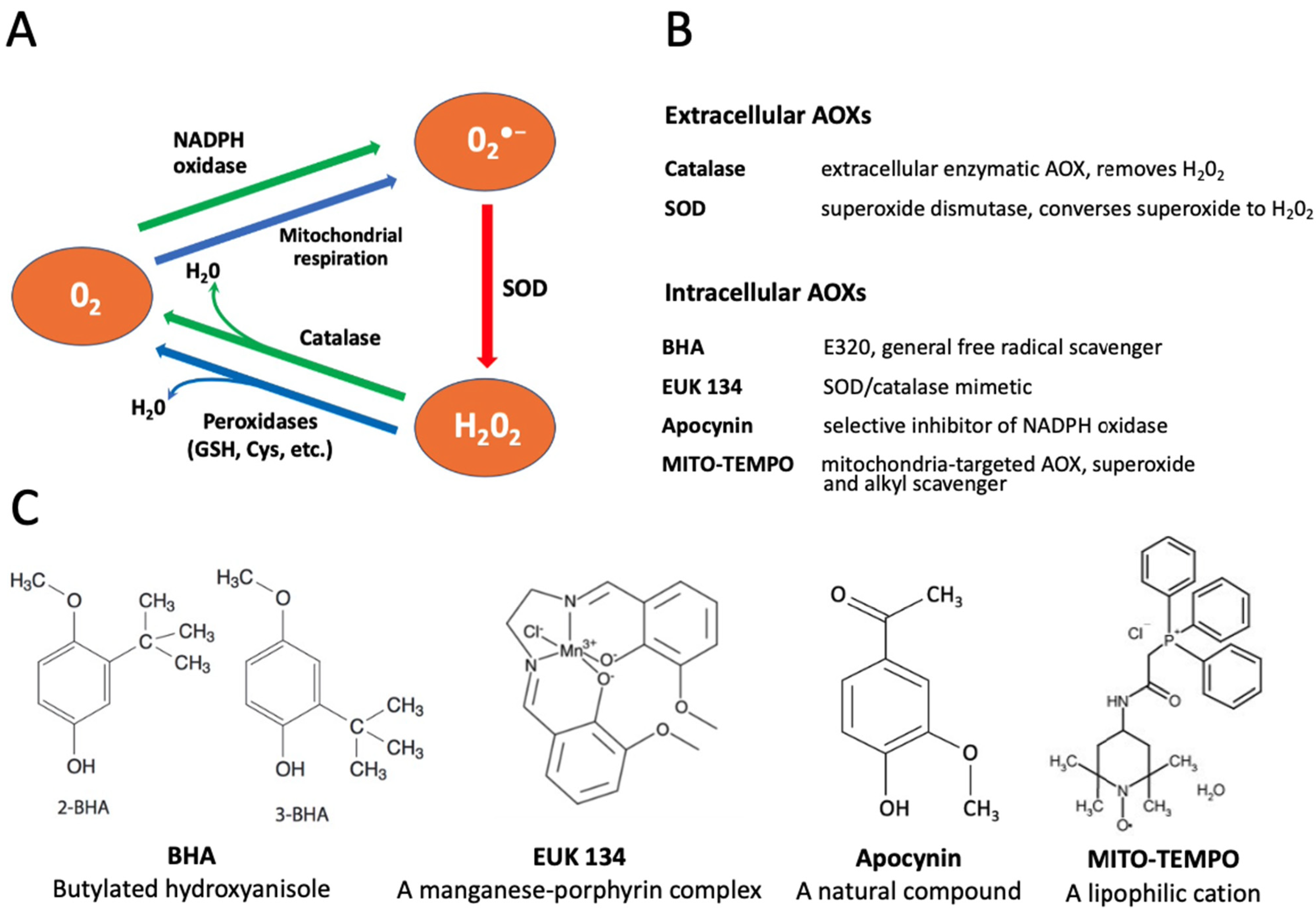 Antioxidants 10 01068 g001