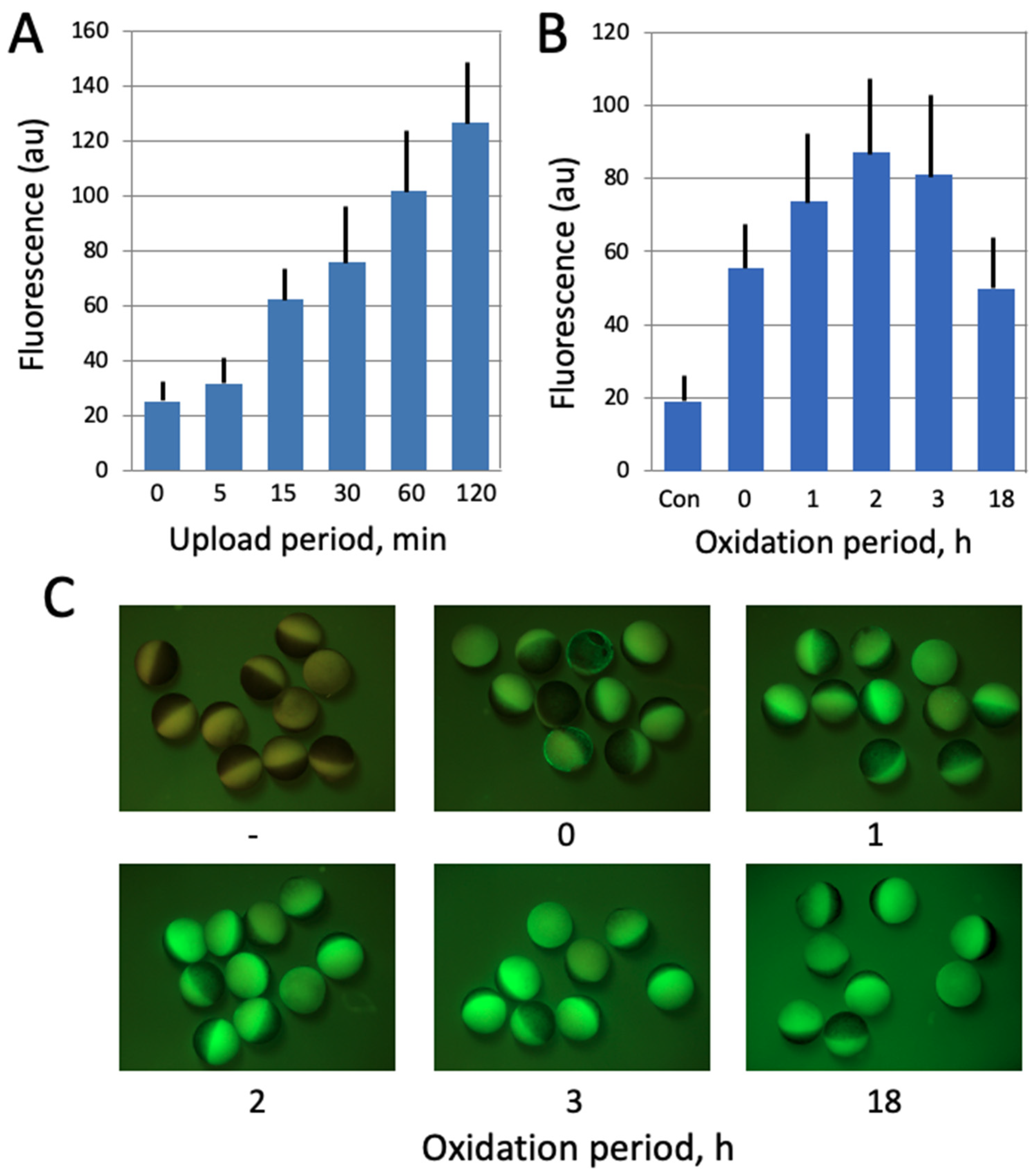 Antioxidants 10 01068 g002