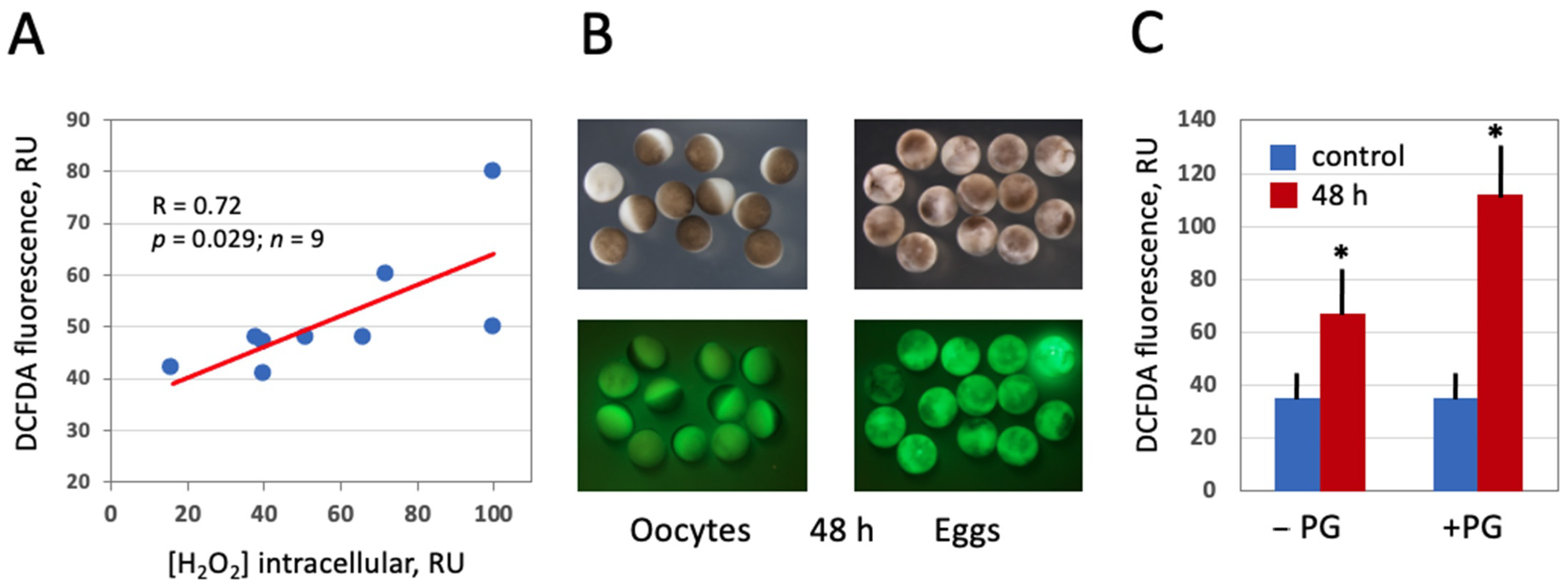 Antioxidants 10 01068 g003