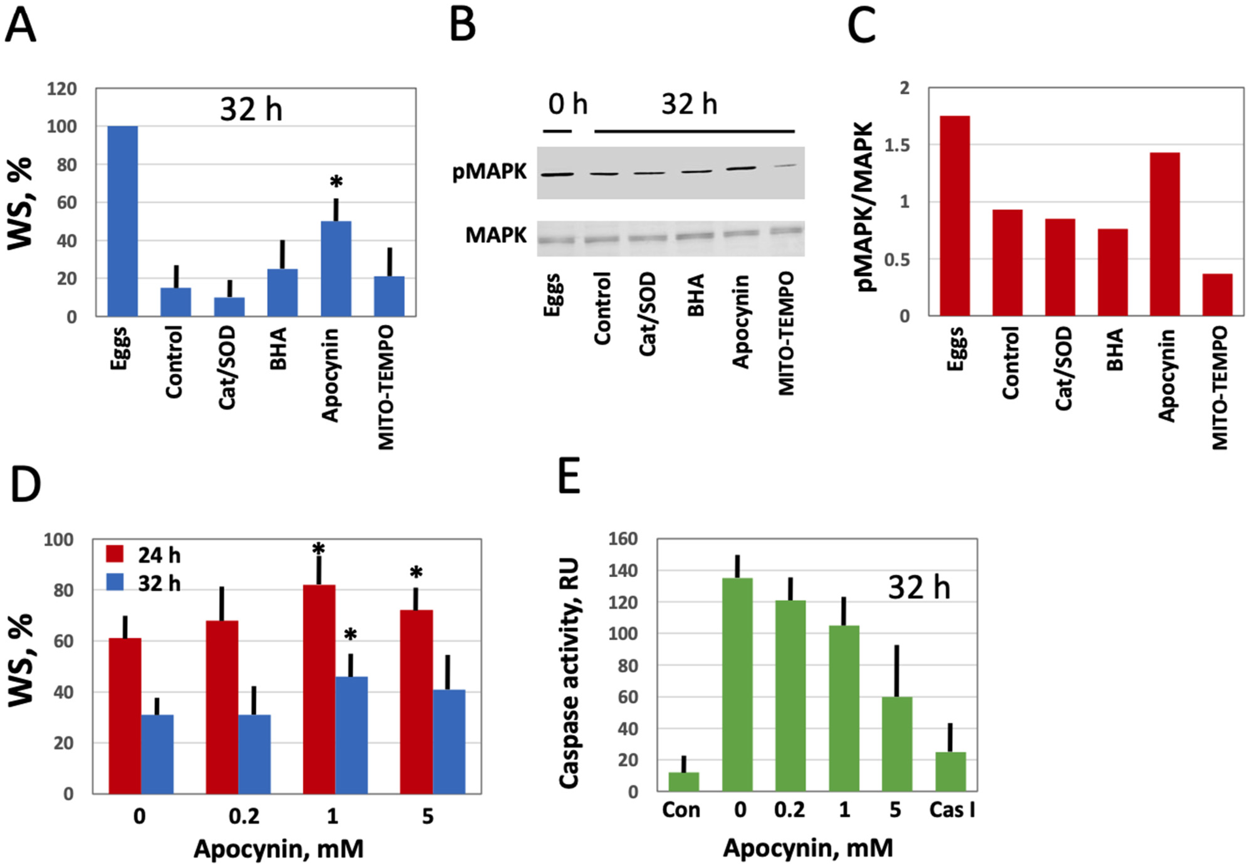 Antioxidants 10 01068 g006