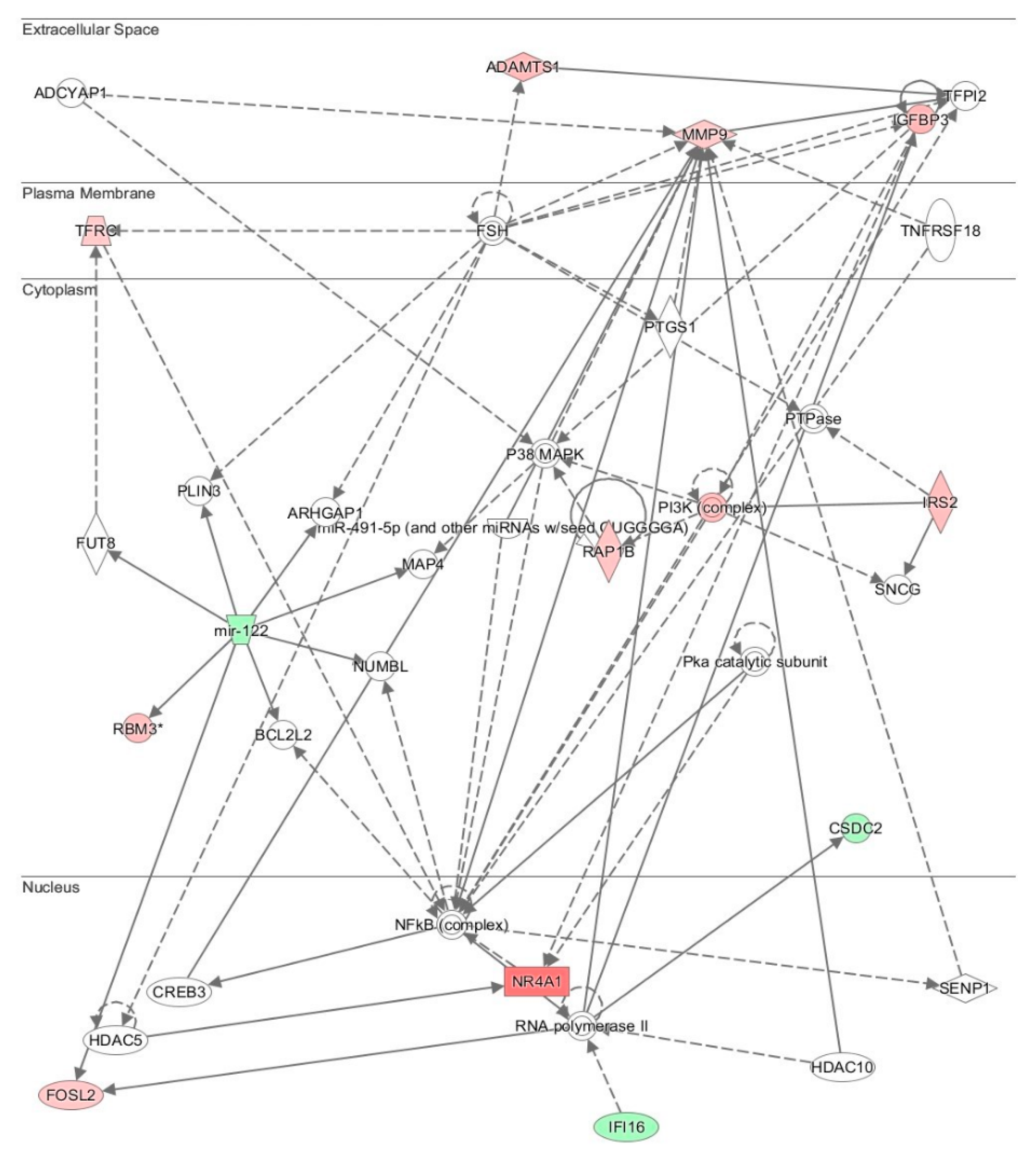 Antioxidants 10 01070 g003