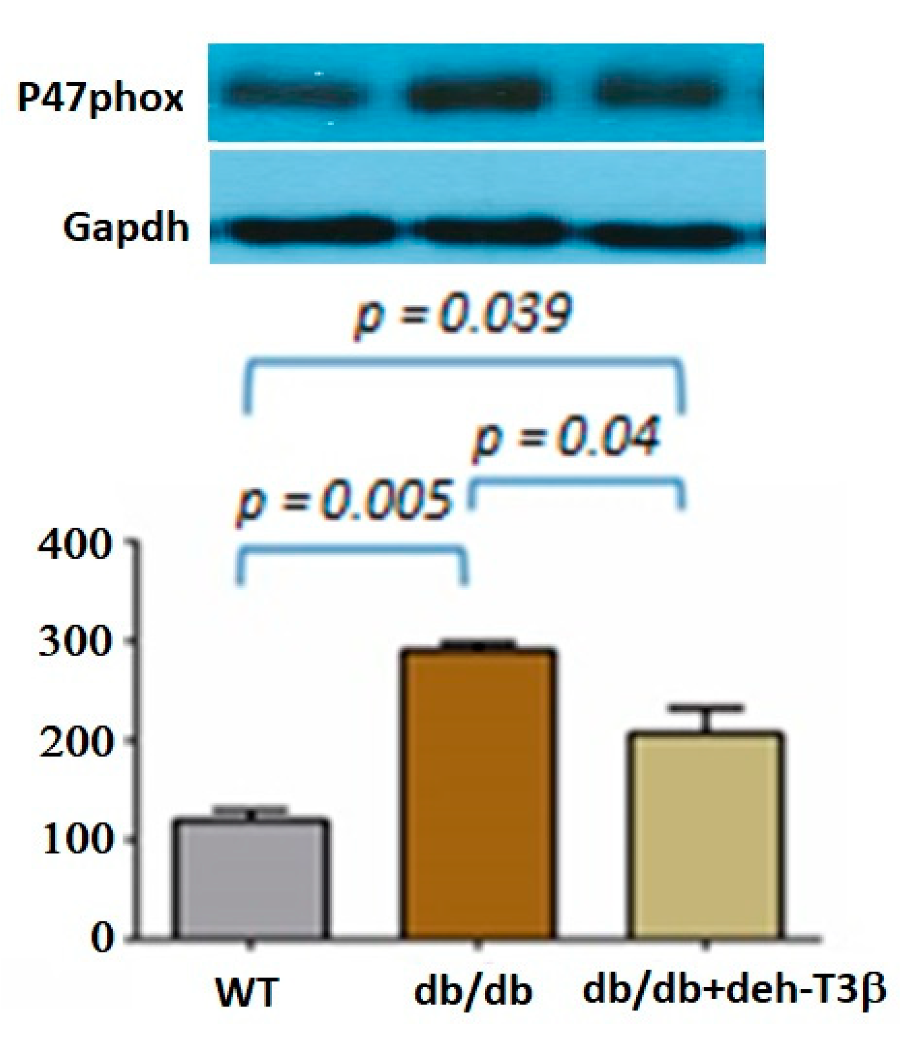 Antioxidants 10 01070 g008