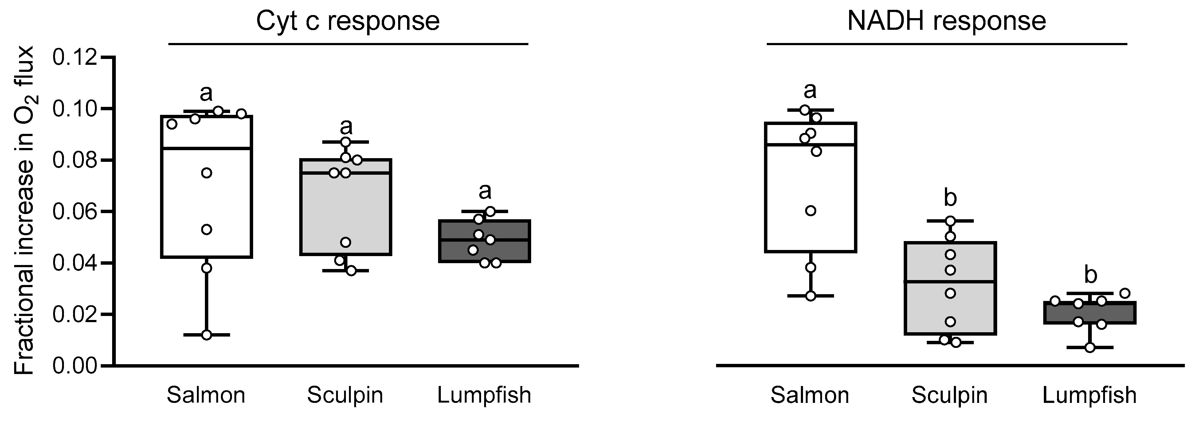 Antioxidants 10 01072 g003