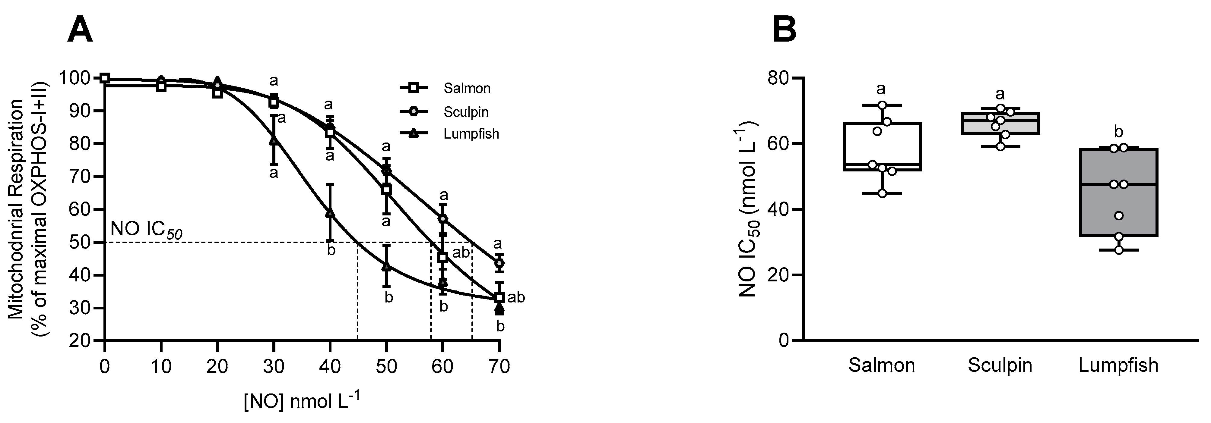 Antioxidants 10 01072 g004